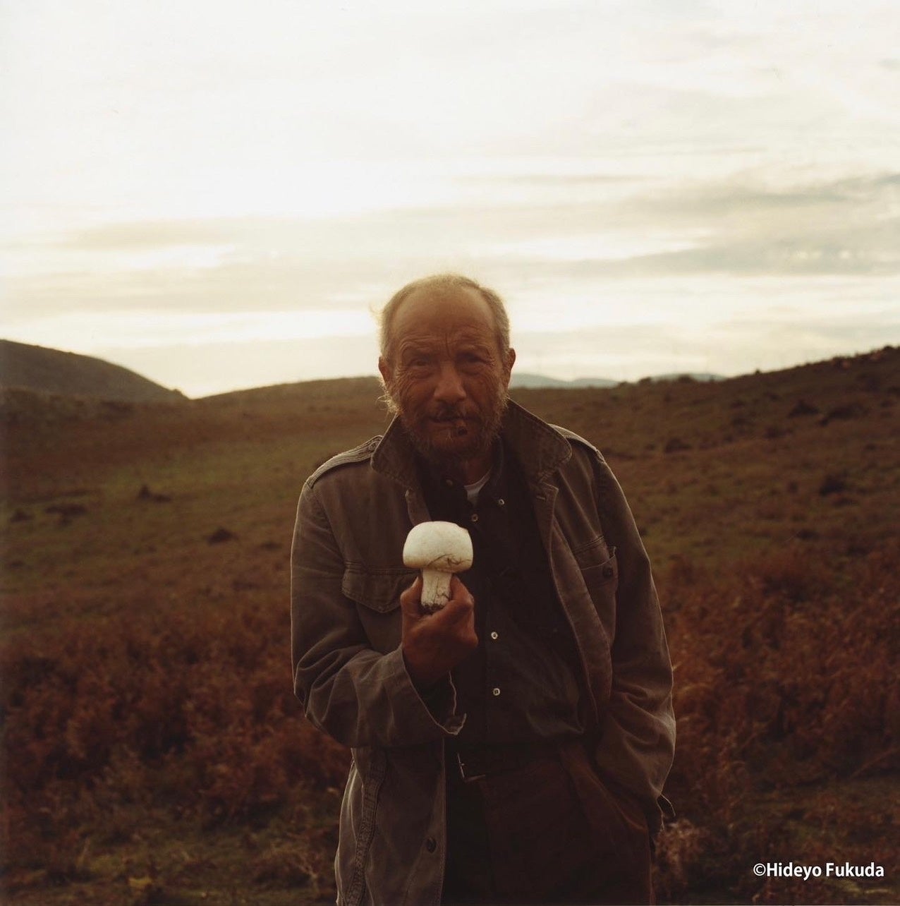 撮影：福田秀世氏