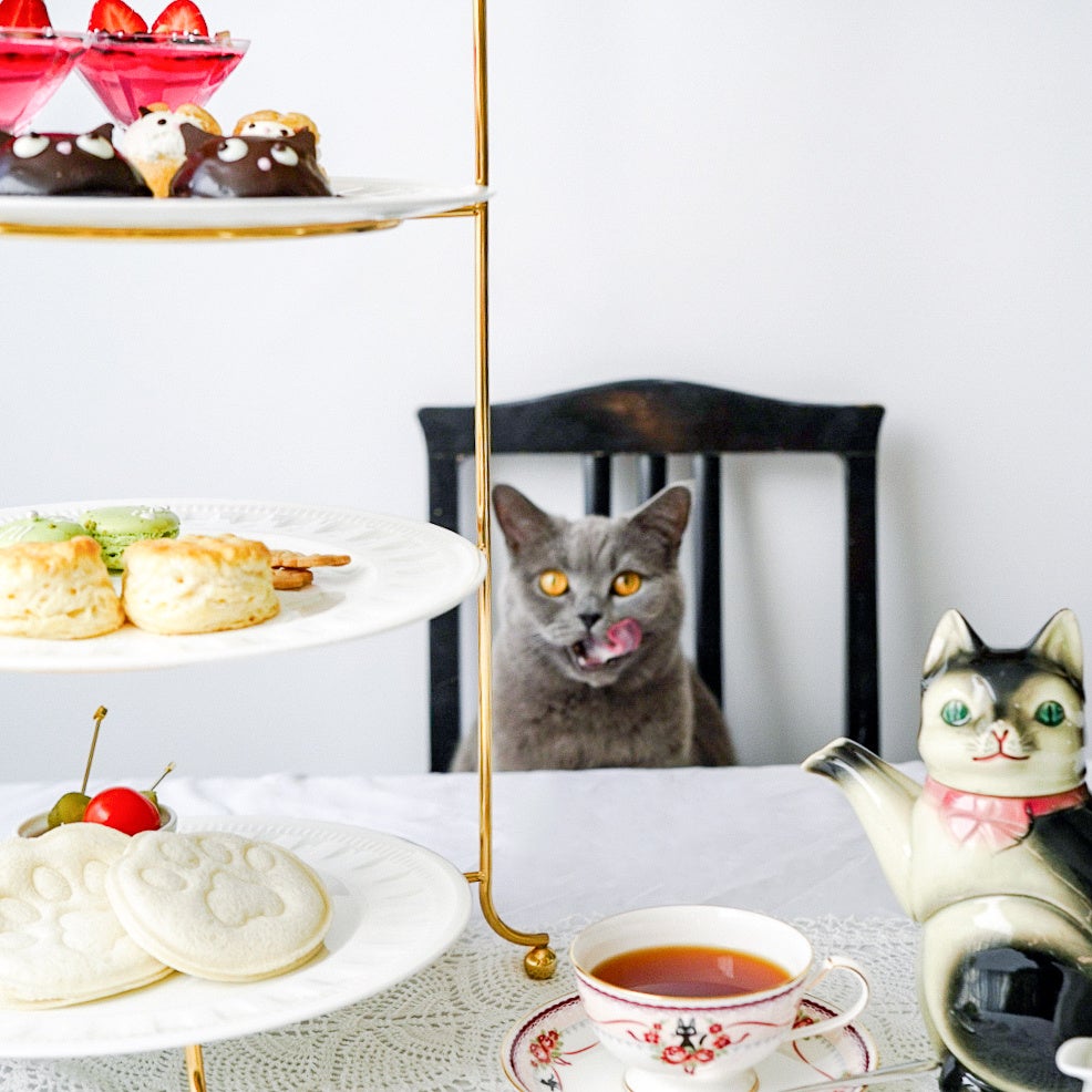 猫の日”を特別なアフタヌーンティーでお祝い！帯広市の紅茶専門店で猫
