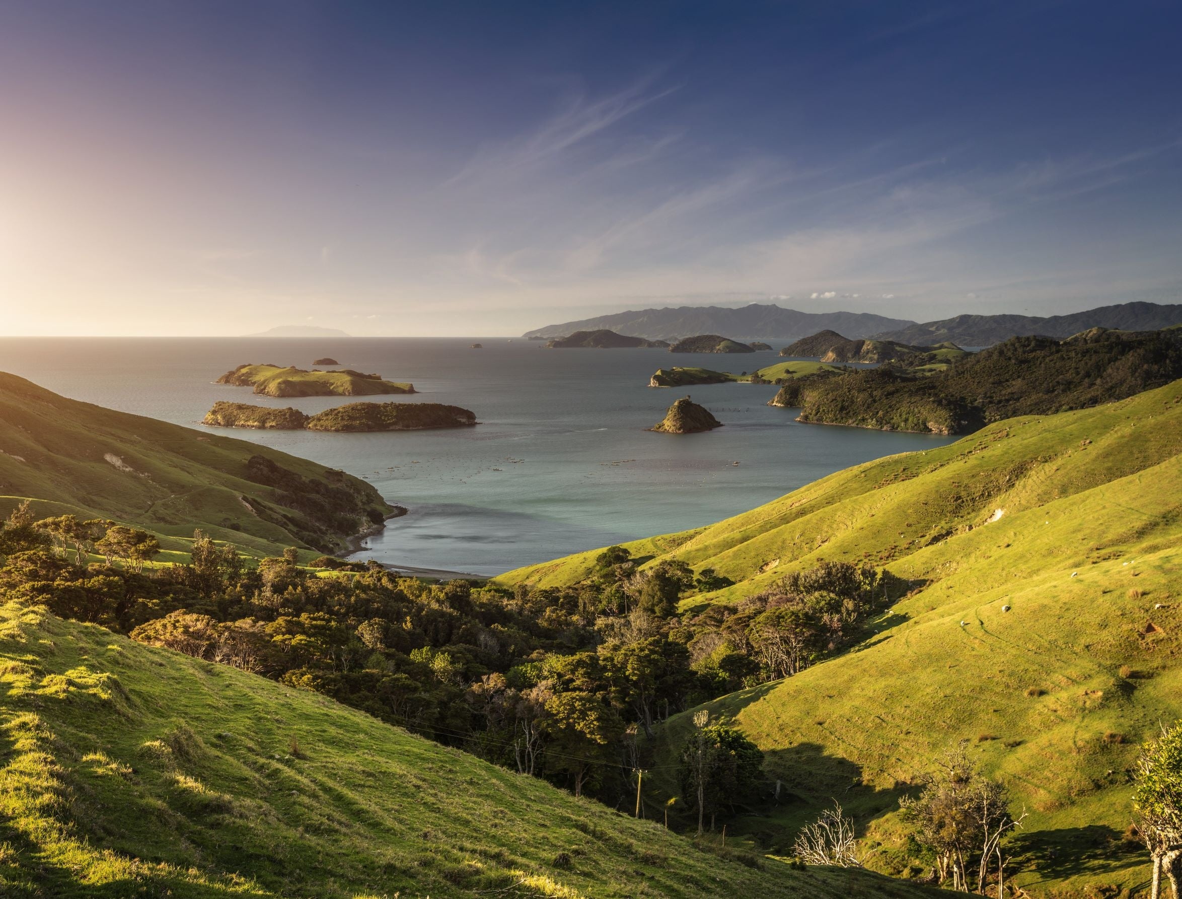 （ニュージーランドの豊かな自然）