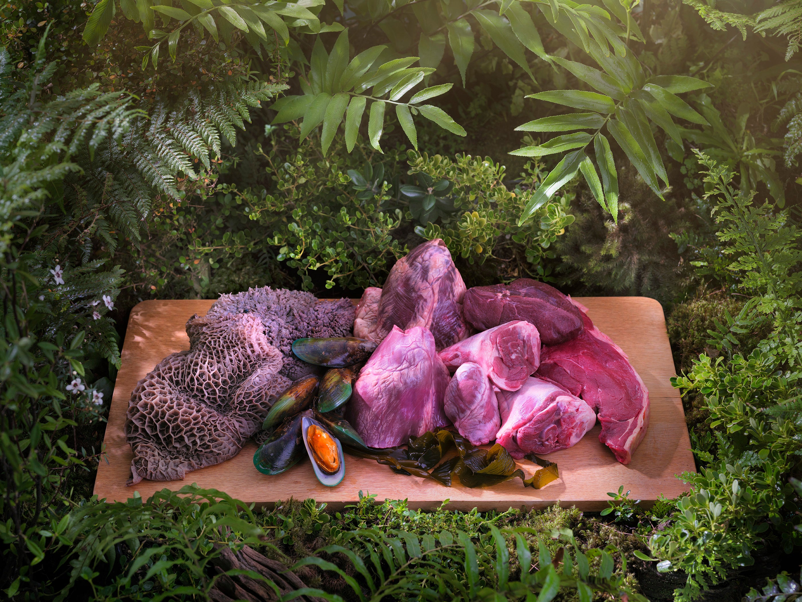 （ZIWIこだわりのニュージーランド産原材料）