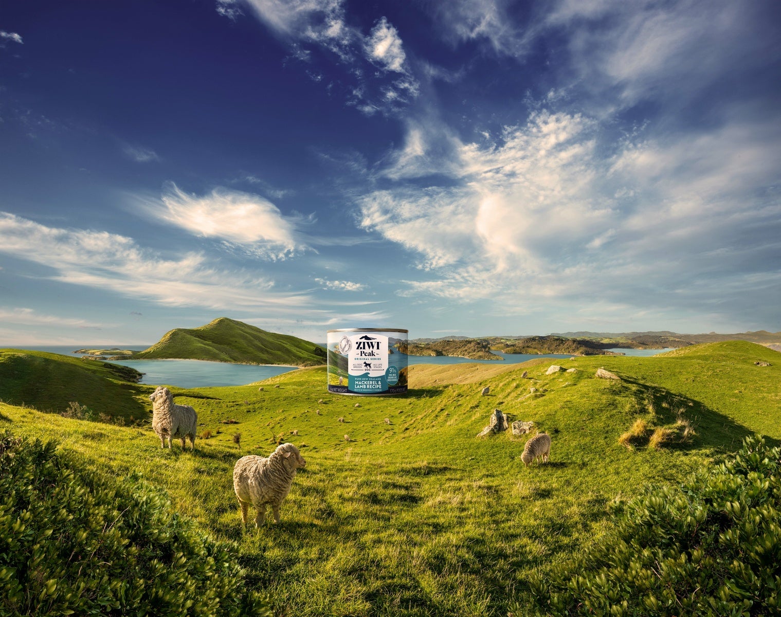 (パッケージをリニューアルしたZIWIウェットフード オリジナルシリーズ)