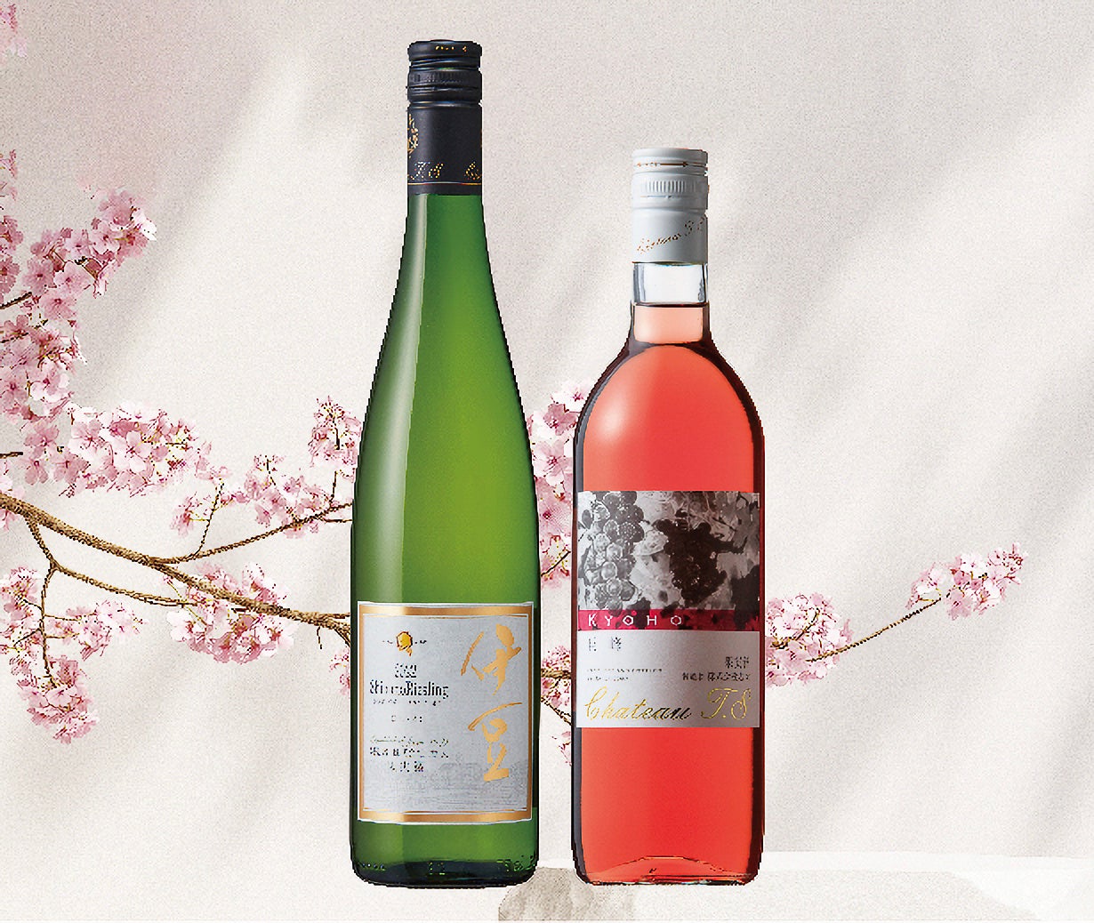 母の日ワインギフトセット イメージ