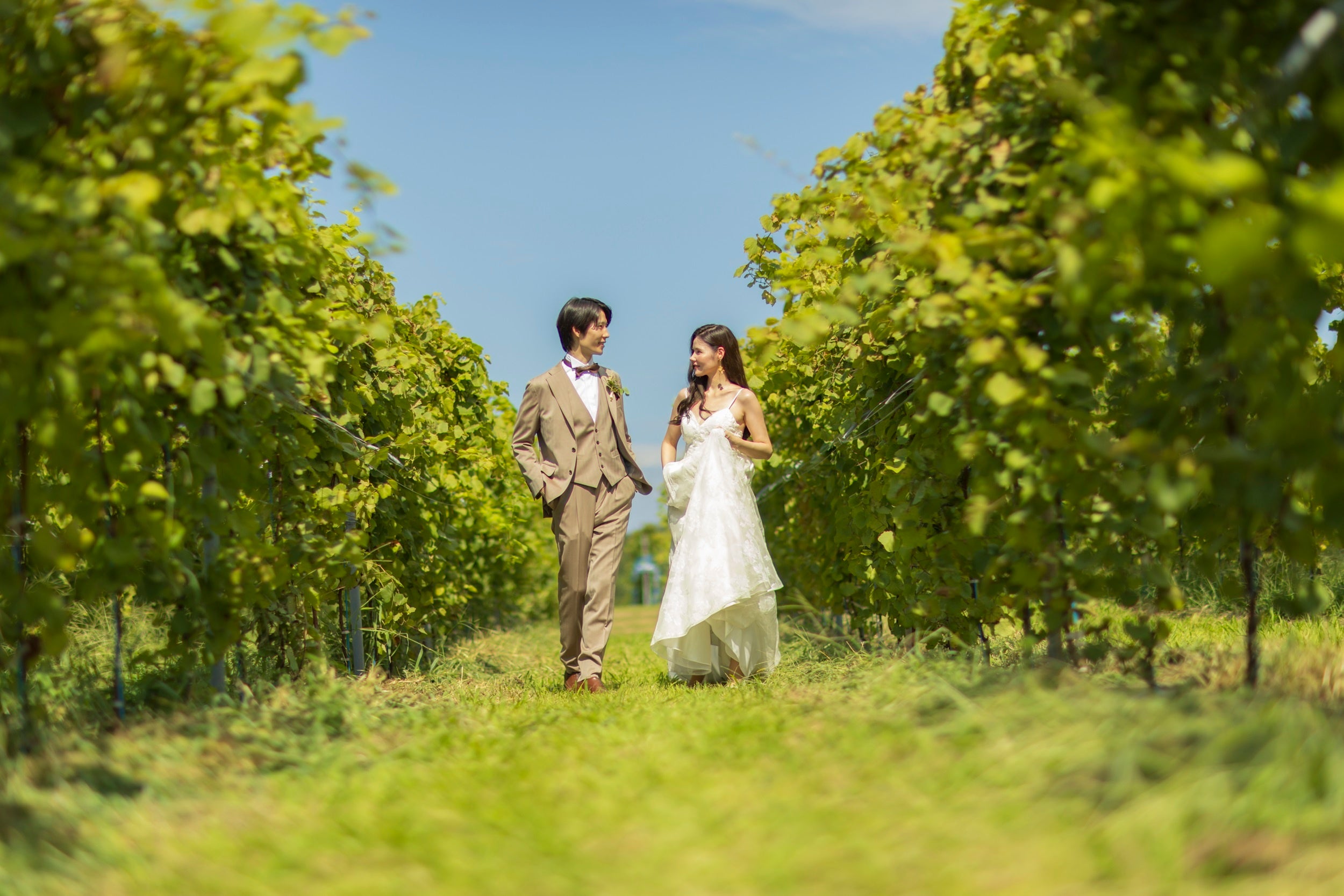 ウエディング イメージ