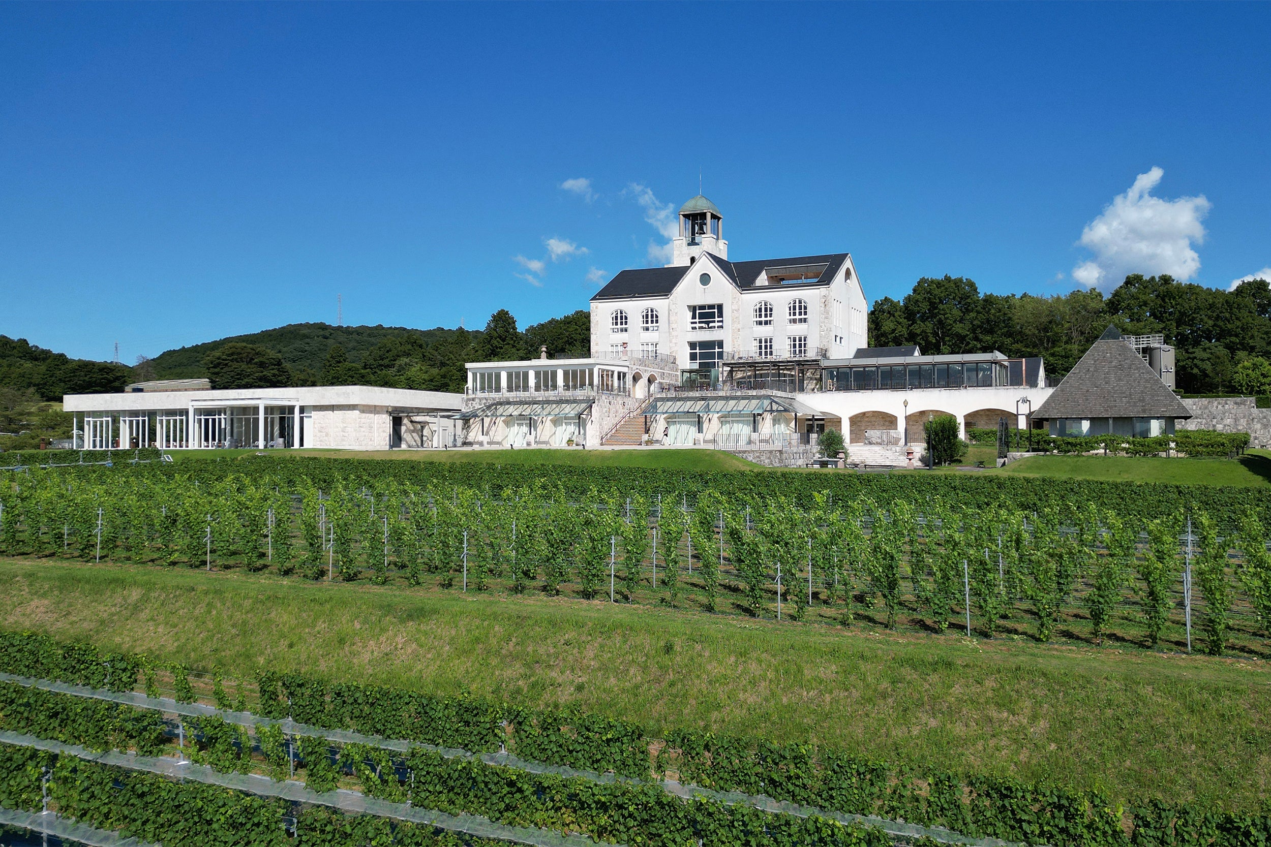 中伊豆ワイナリー シャトーT.S