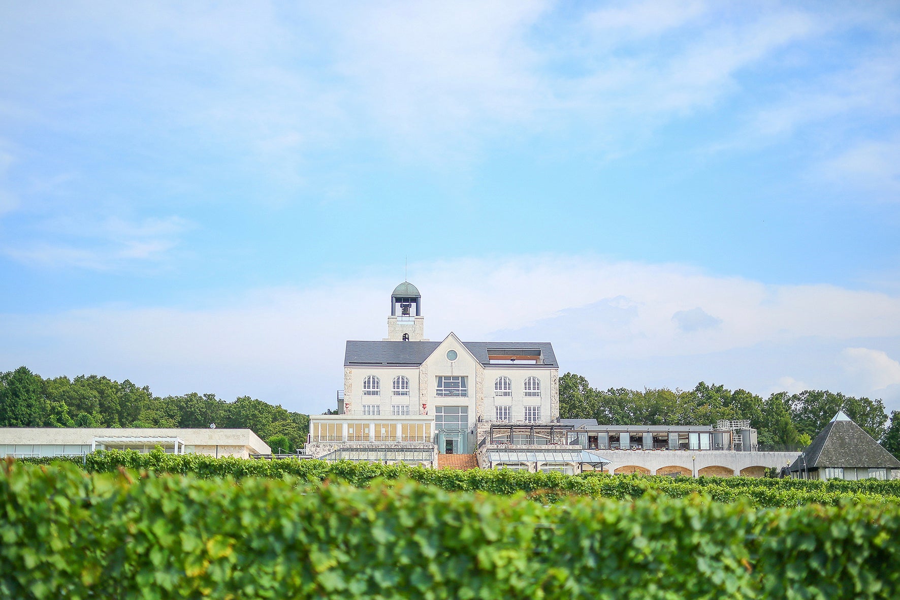 中伊豆ワイナリーヒルズ シャトーT.S 外観イメージ