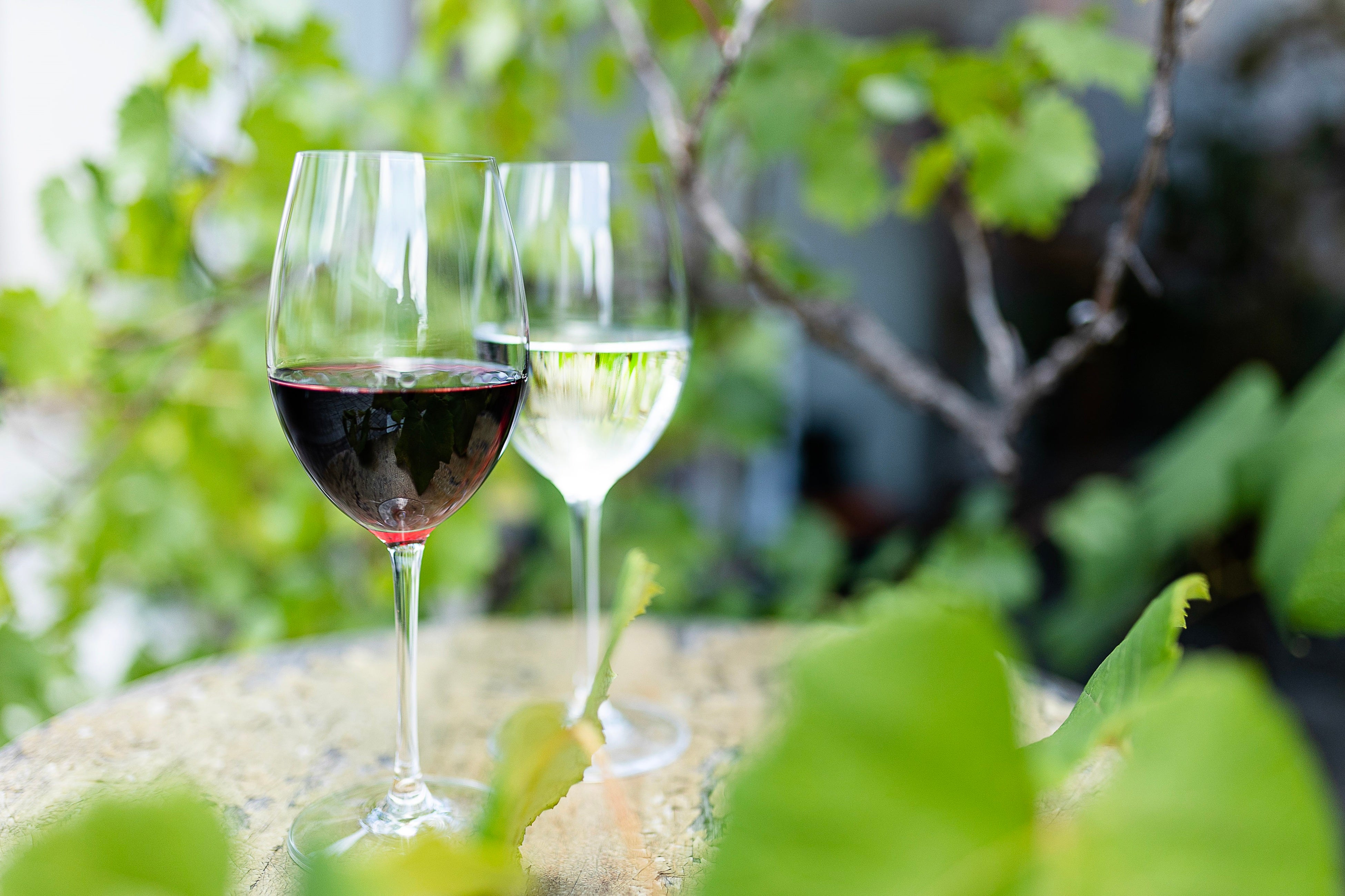 シャトー・ド・ヌヌース 〜天使と秘密のワイナリー〜柄 JSK＆バレッタ Château de Nounours ~Angel's Secret Winery~ JSK II by Alice