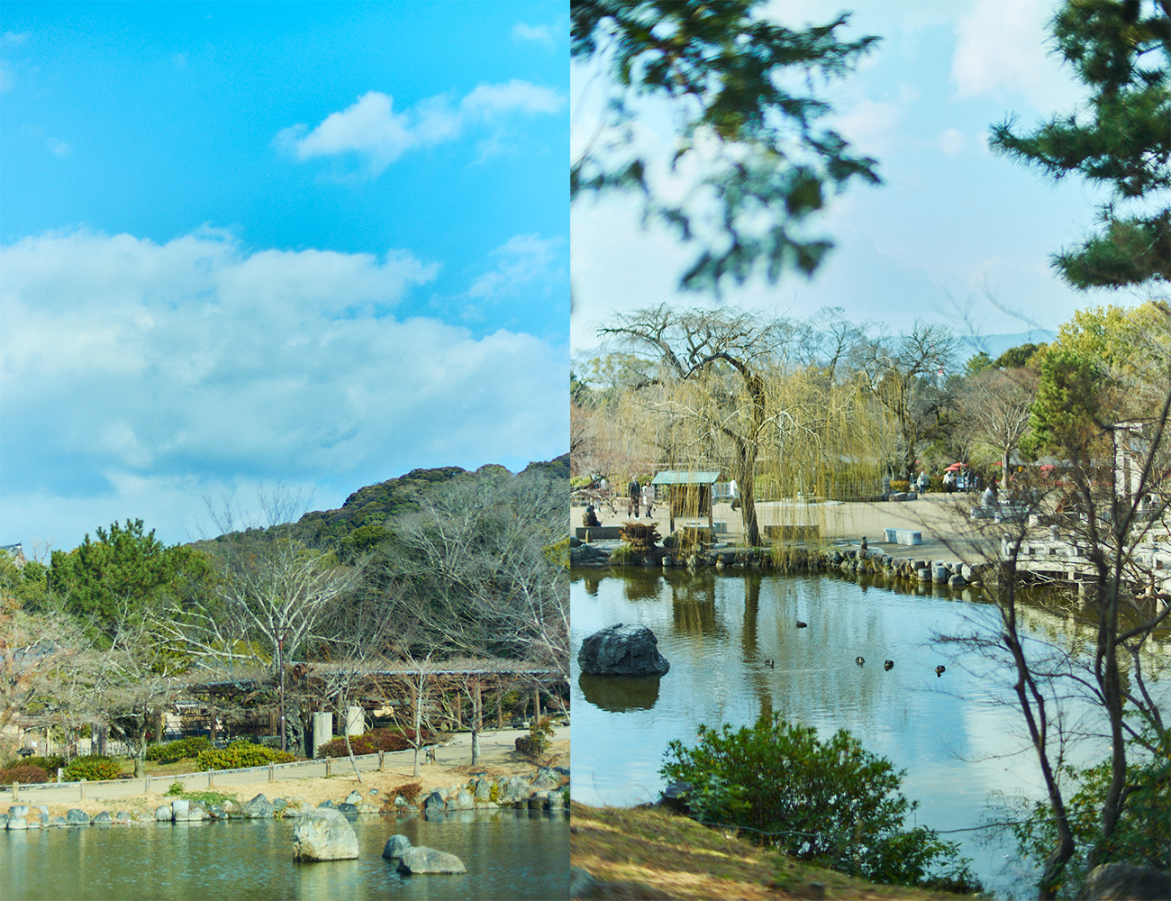 〔円山公園エリア〕
