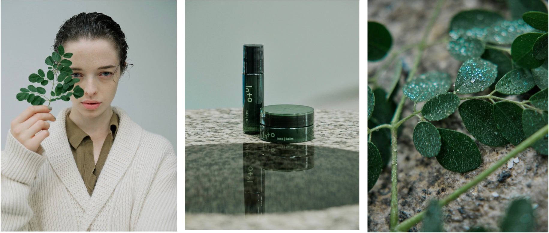 into モリンガバーム　モリンガ　オイル　スティックオイル Into（イントゥ）公式オンラインストア