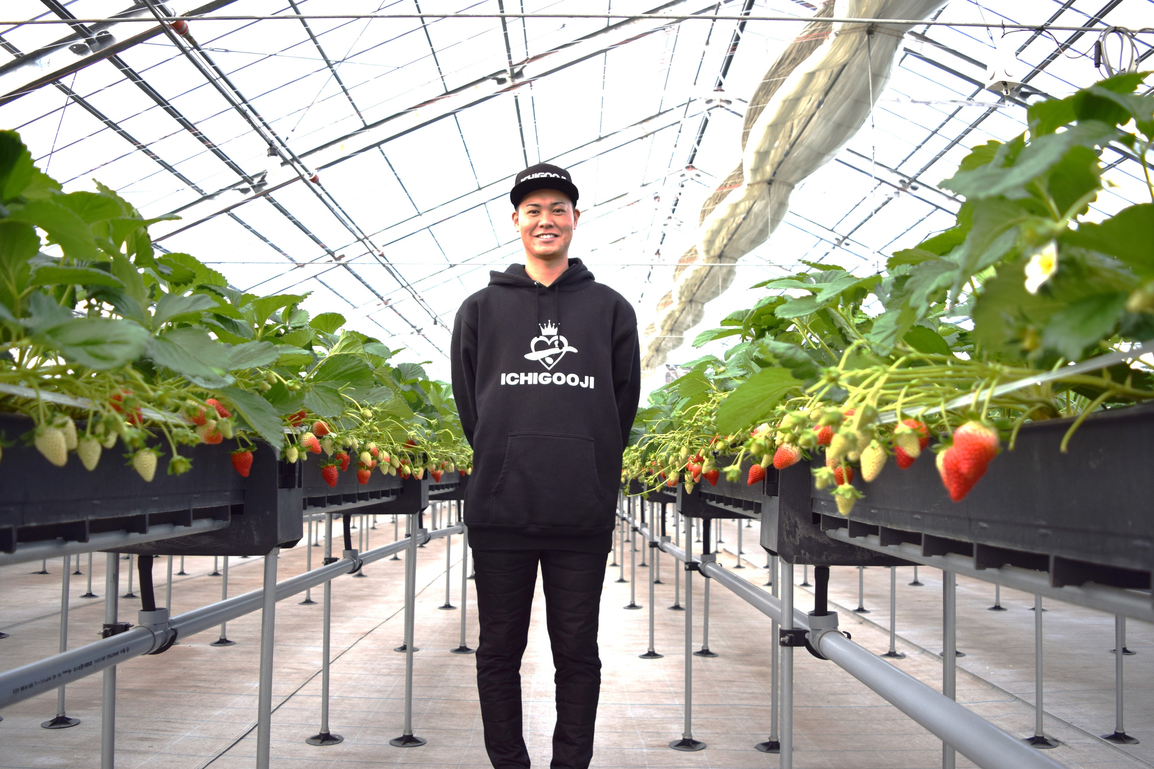 ICHIGOOJIのハウスにて池田天瑠社長