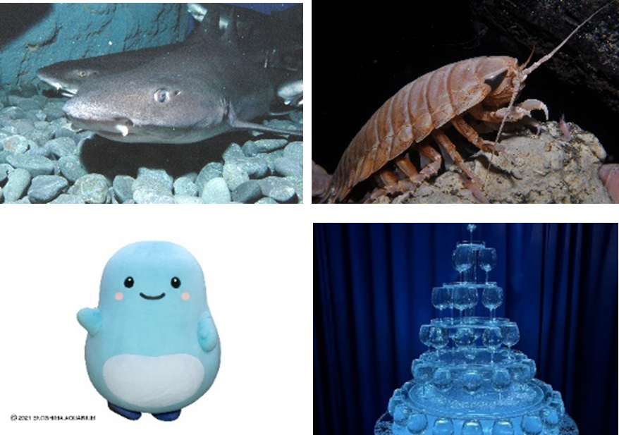 ※写真はイメージです。