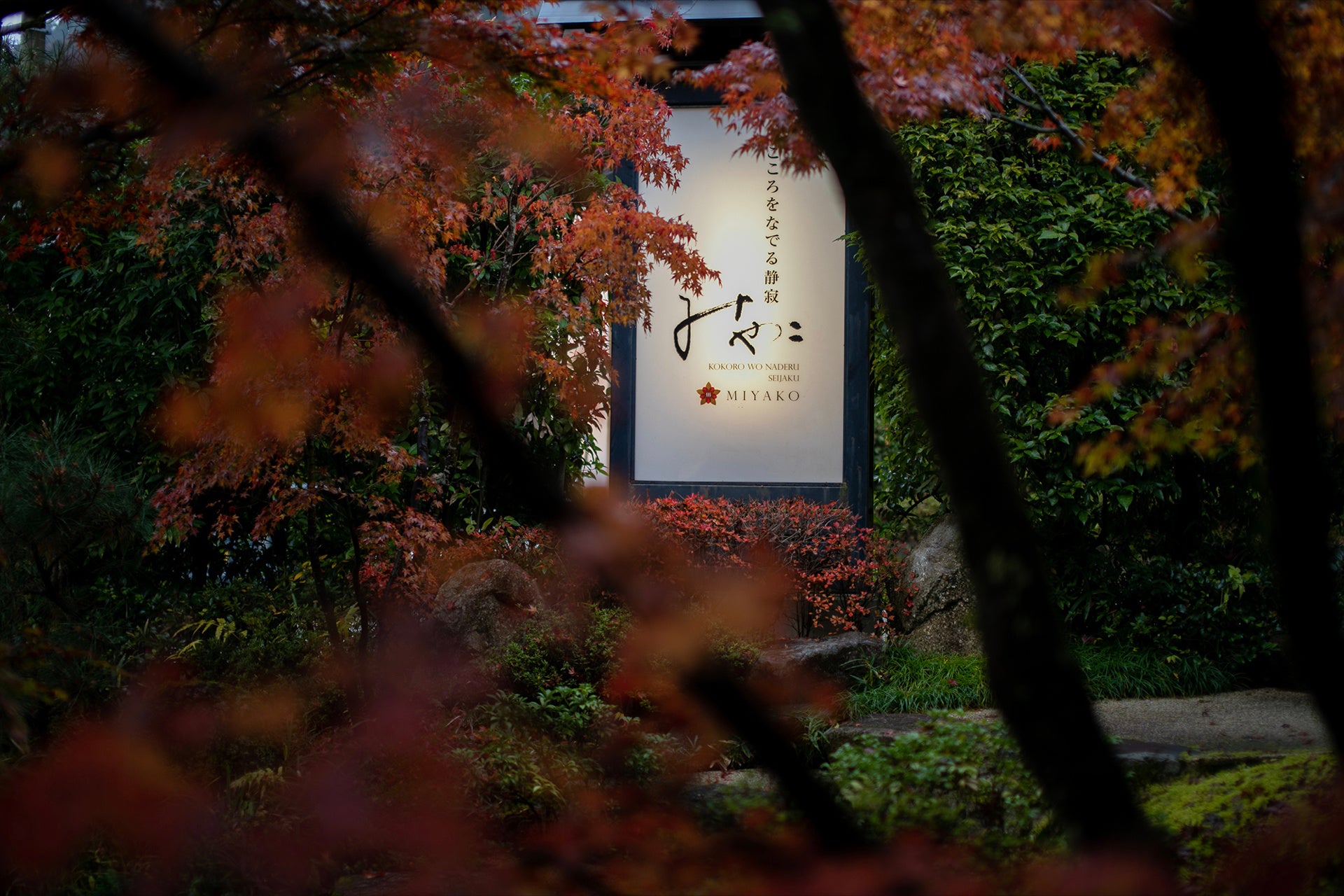 【下呂温泉】こころをなでる静寂みやこ