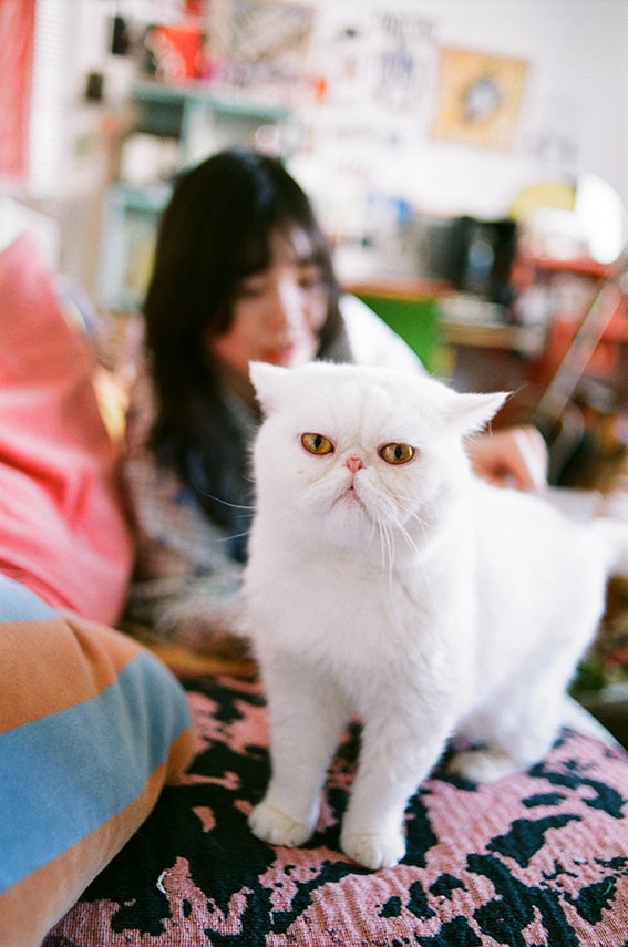 撮影：川島小鳥