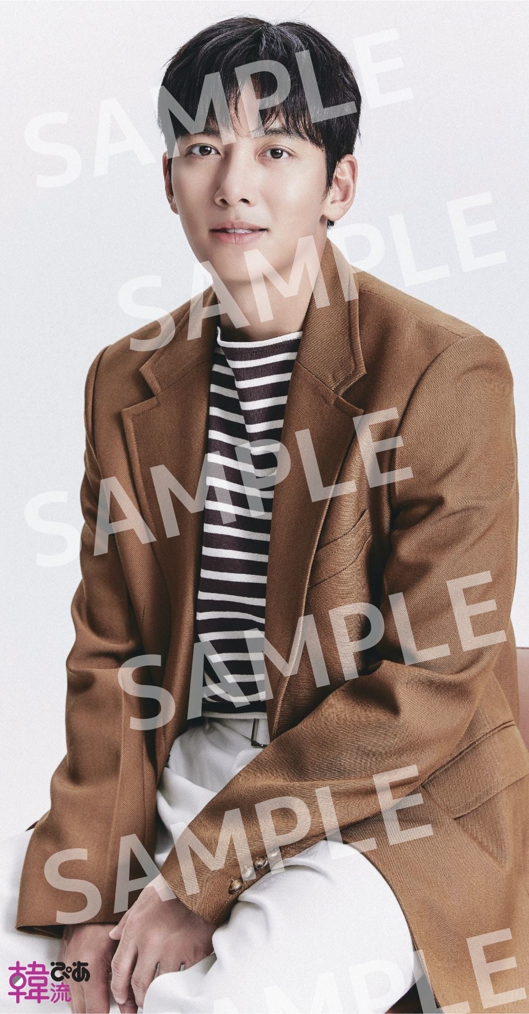 ポスター　チ・チャンウク