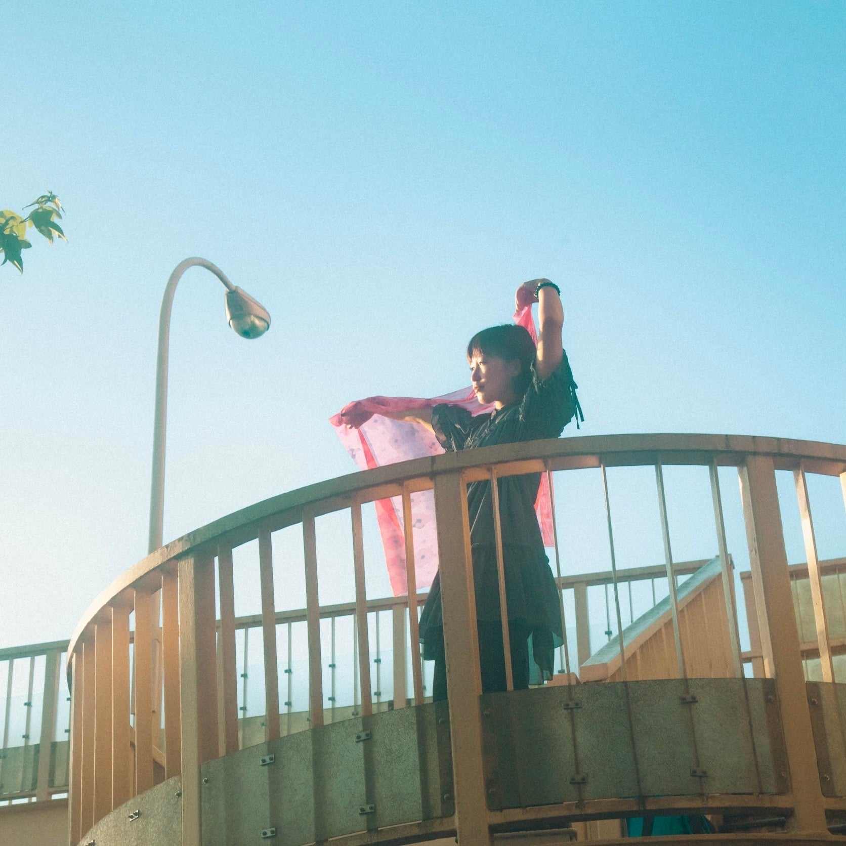 のうじょうりえ