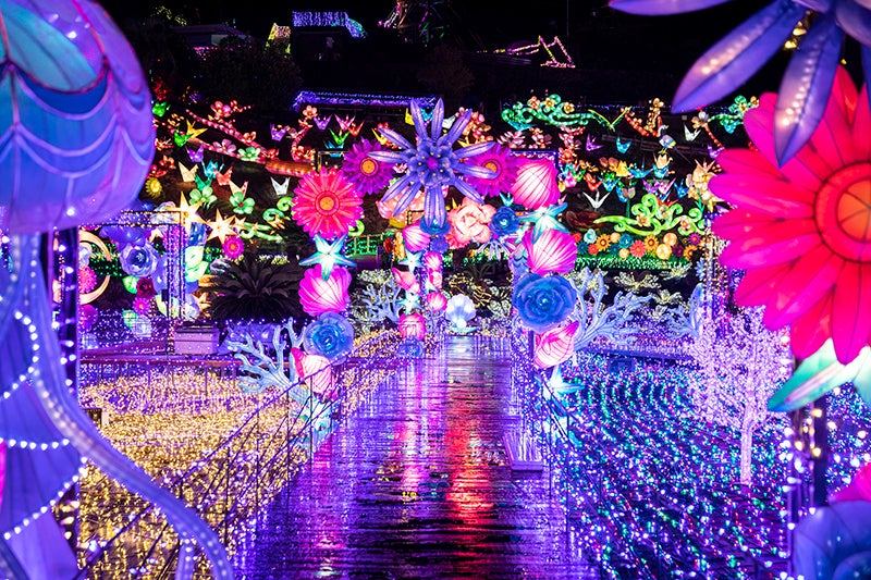 伊豆ぐらんぱる公園 「グランイルミ」