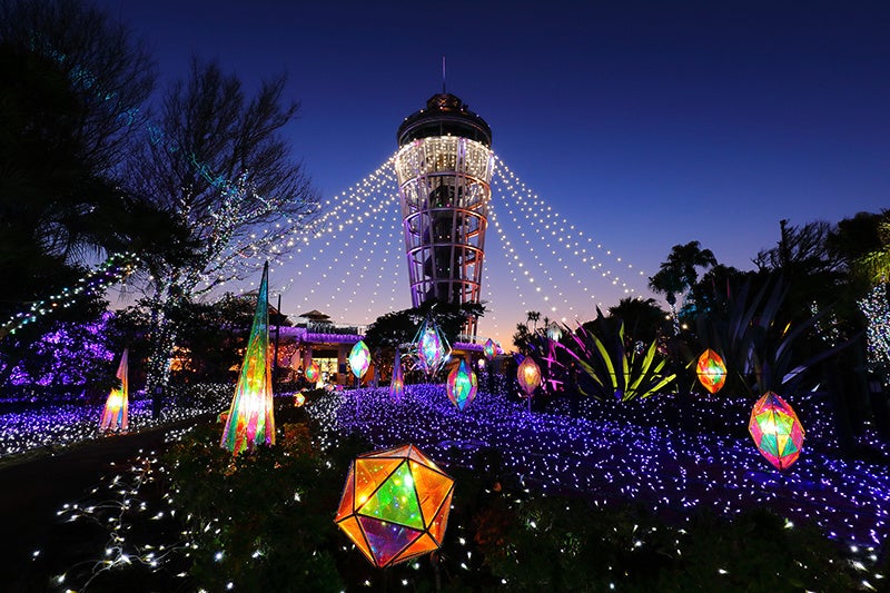 湘南の宝石~江の島を彩る光と色の祭典と色の祭典