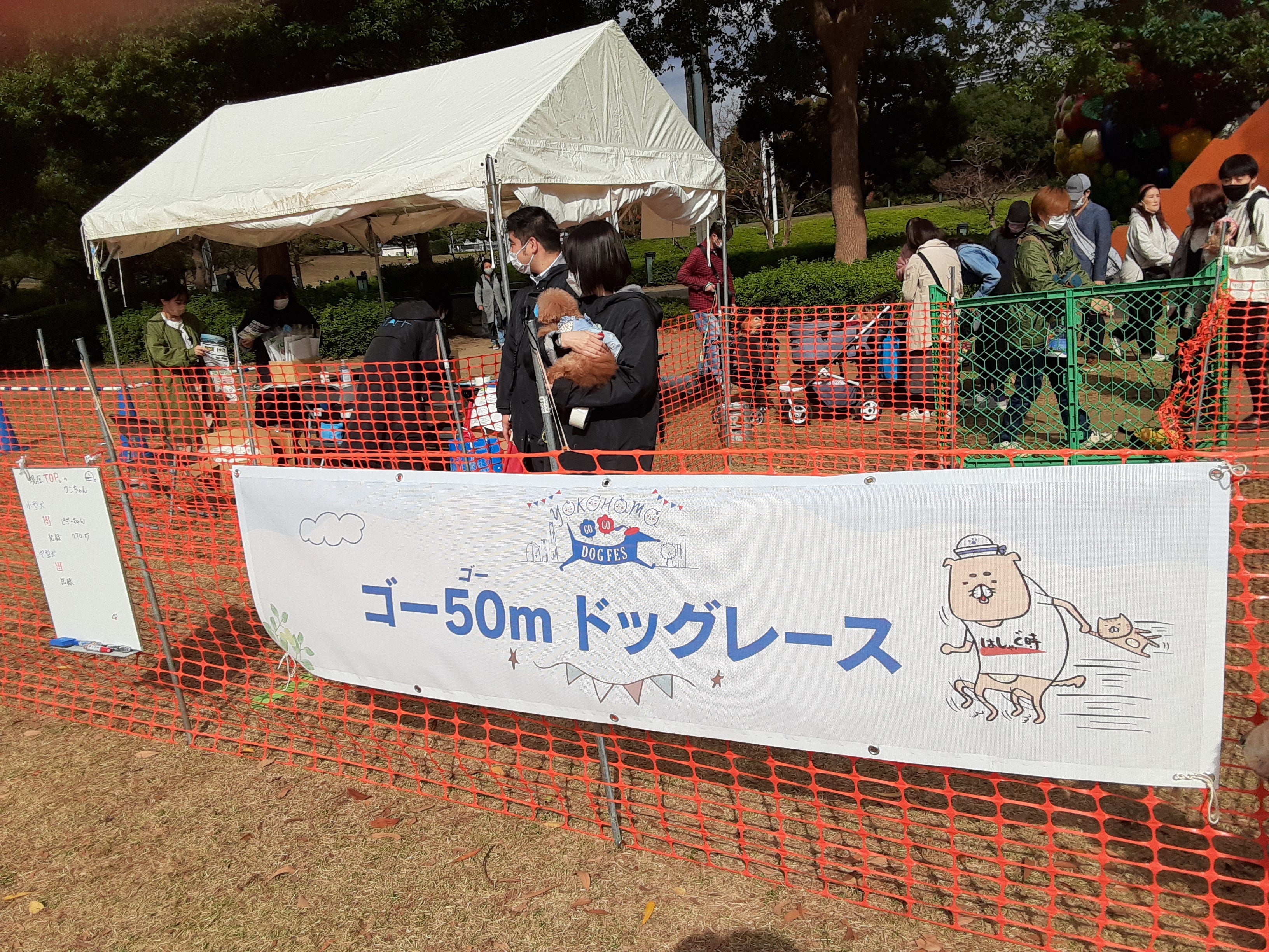 ゴーGOドッグレース