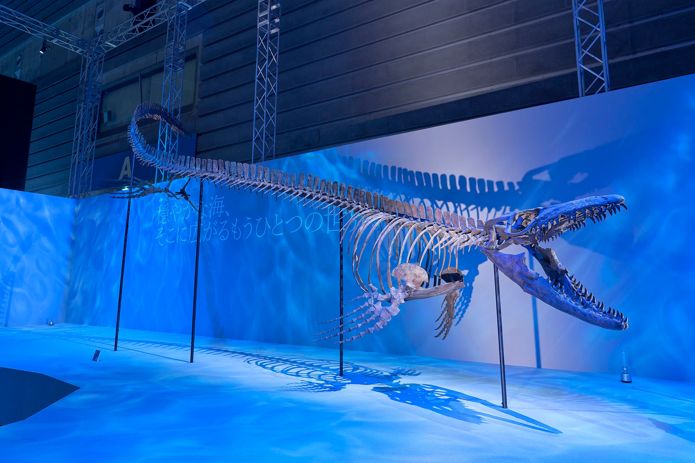 海の王者モササウルス