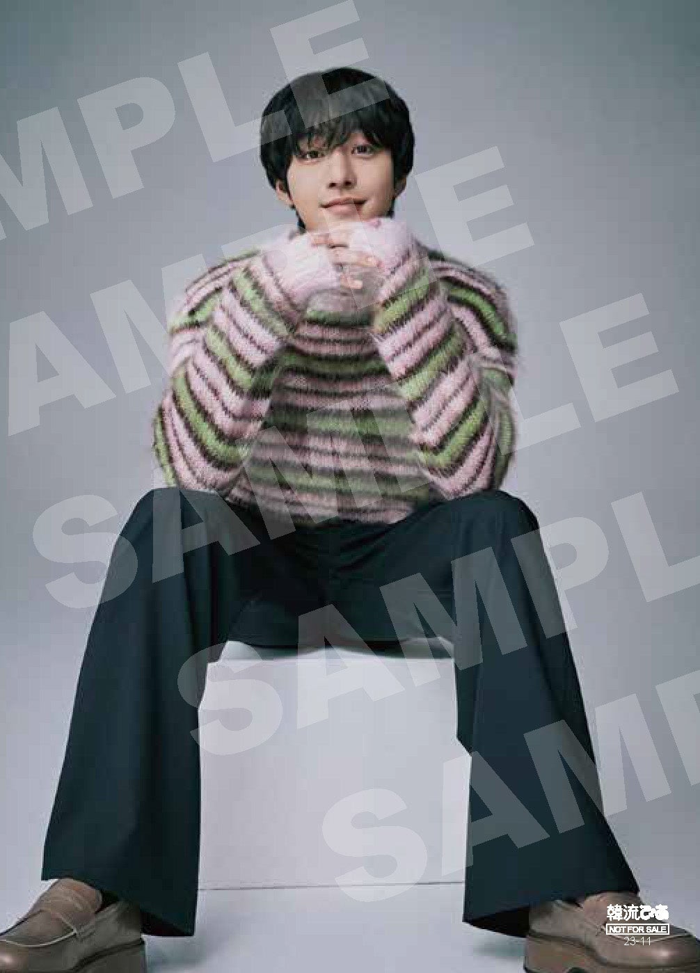 韓流ぴあ11月号_韓流ぴあSHOP限定2L版生写真アン・ヒョソプ