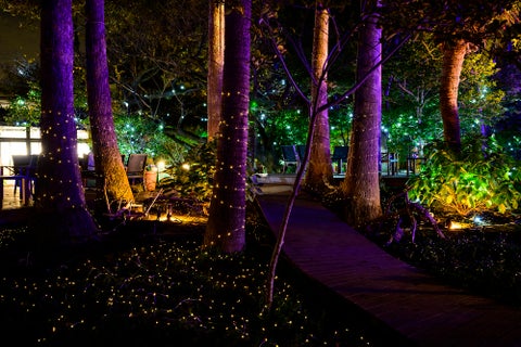 2023年11⽉2⽇「夜景サミット2023 in ⾜利」で、新時代のイルミネーションブランドを創設! 2023年11⽉2⽇「夜景サミット2023 in ⾜利」で、新時代のイルミネーションブランドを創設!