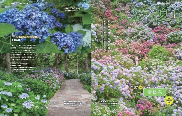 『自然を満喫 花さんぽ 首都圏版』（ぴあ）