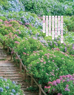 『自然を満喫 花さんぽ 首都圏版』（ぴあ）