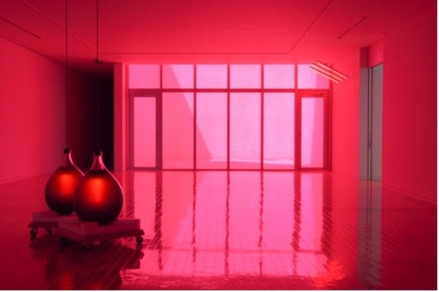 展⽰⾵景：「動詞を⾒つける」⼩海町⾼原美術館、⻑野、2022年