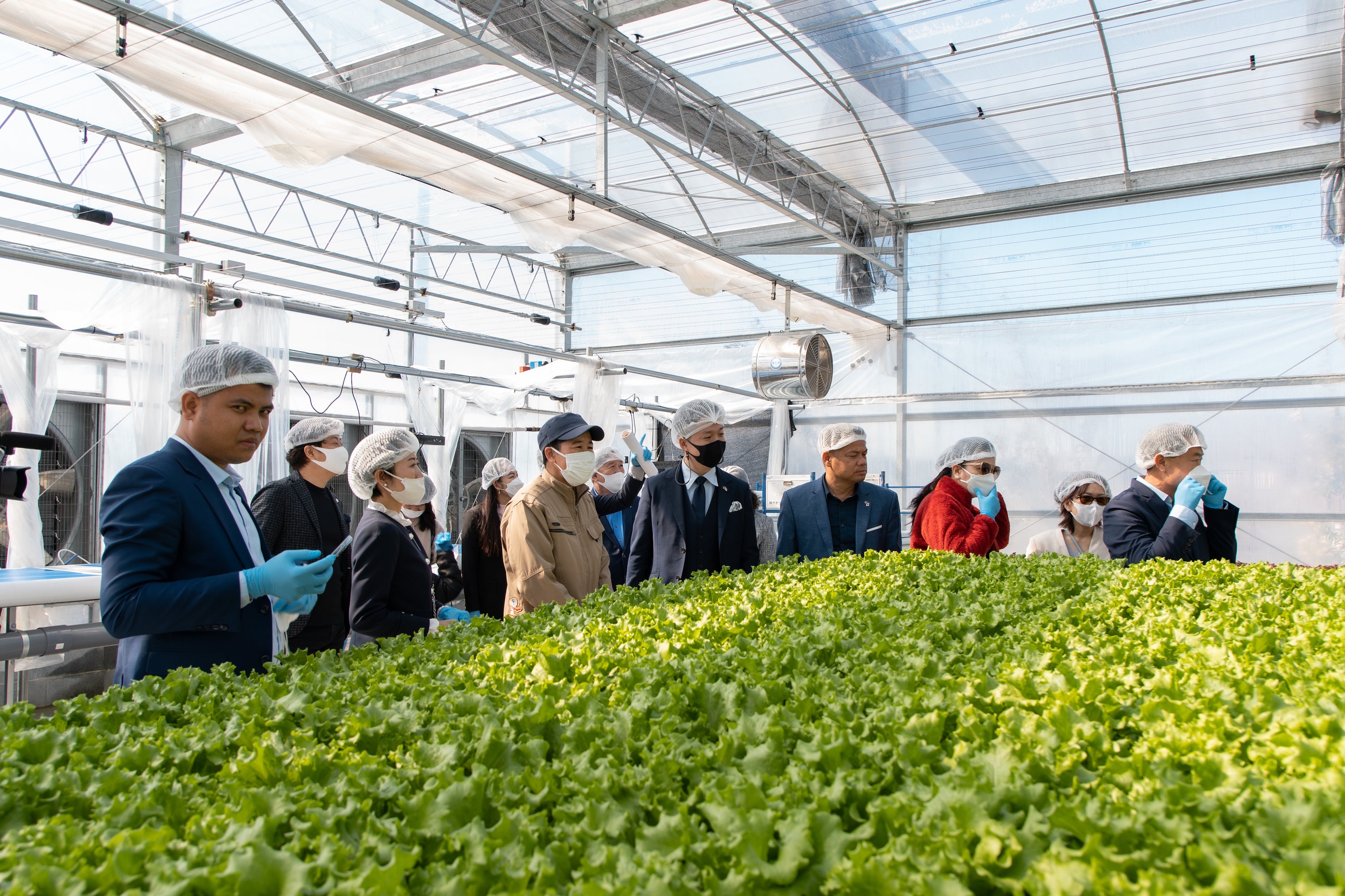 株式会社ヤオコー(農業部門)視察時の写真