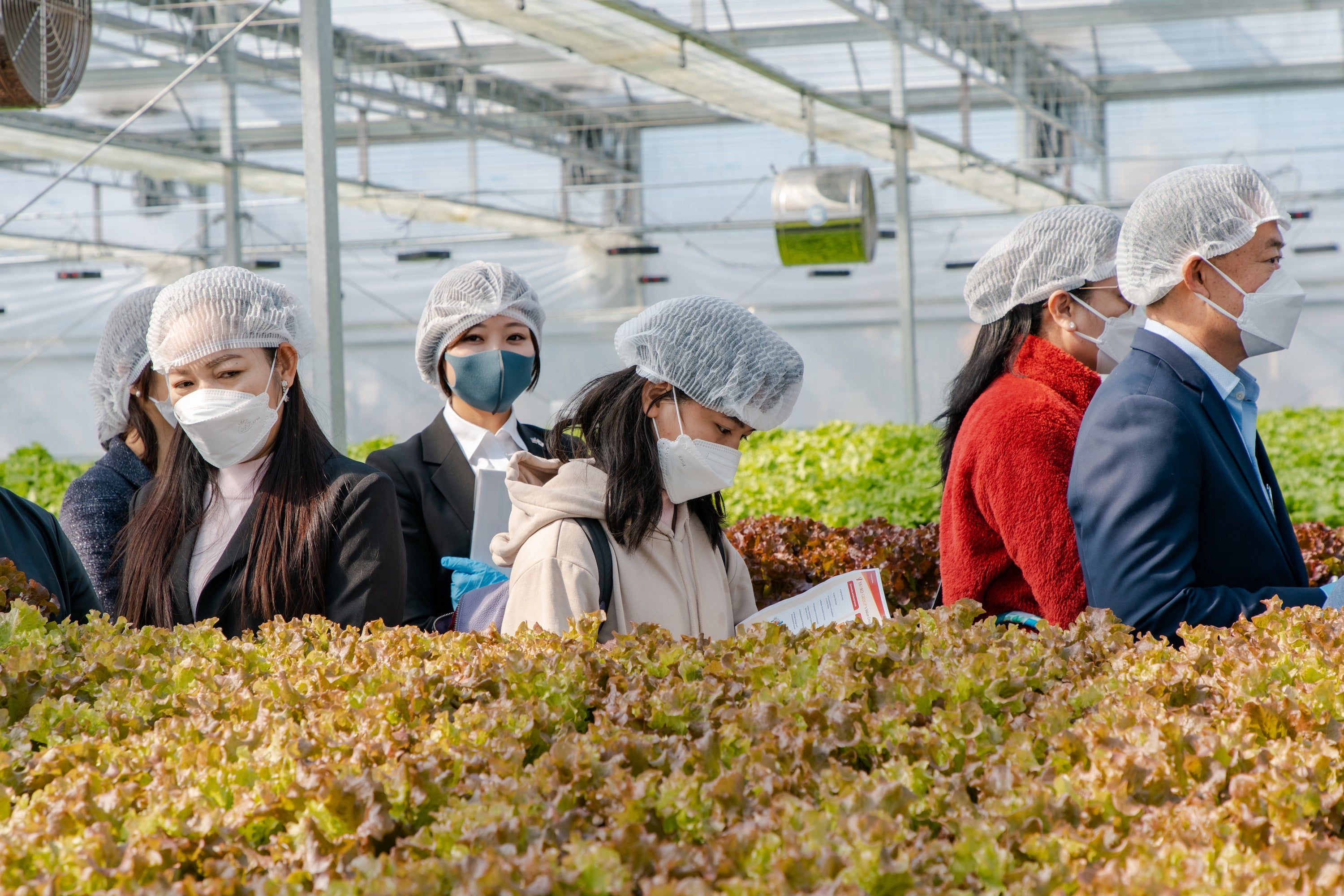 株式会社ヤオコー(農業部門)視察時の写真