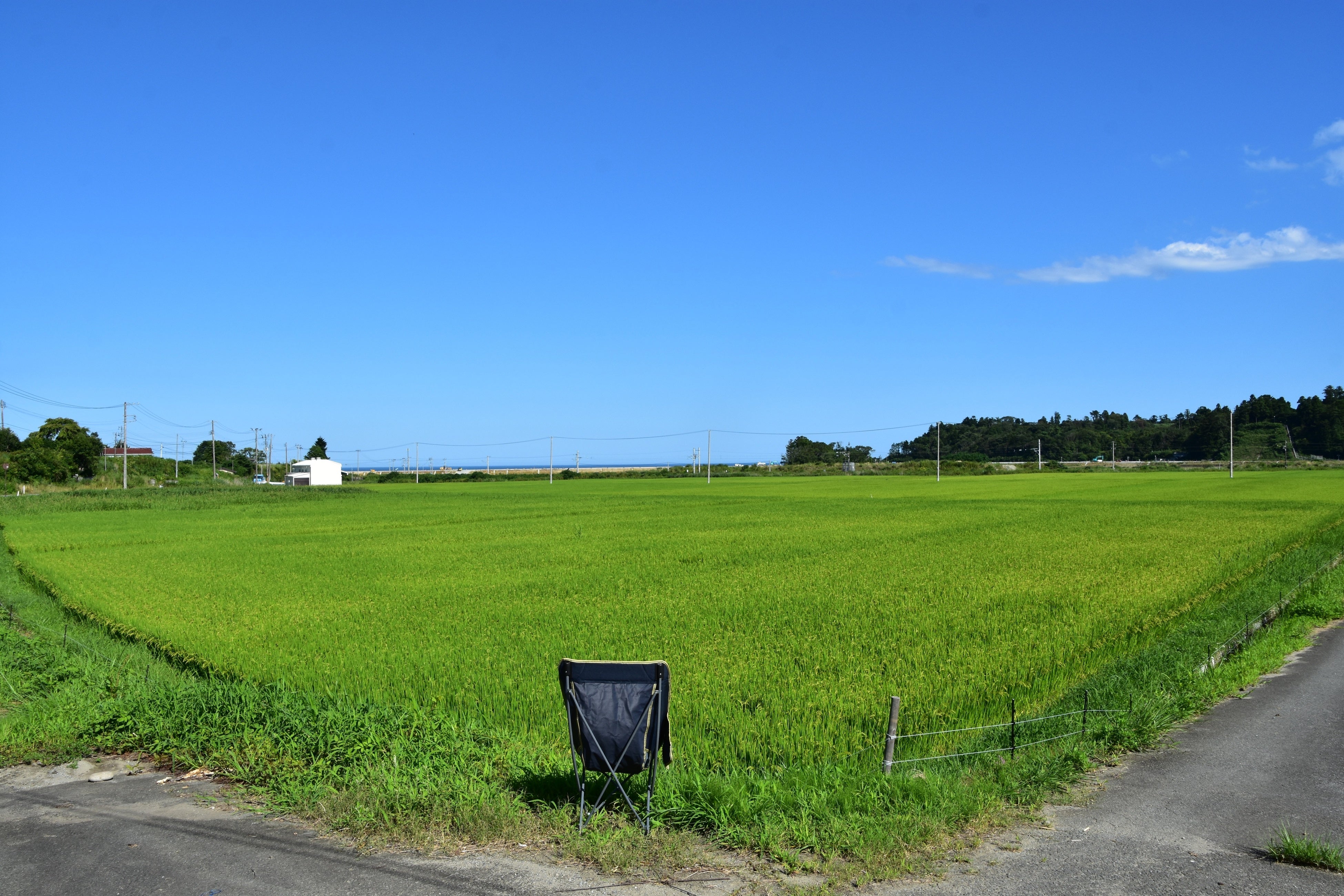 富岡町　チェアリング
