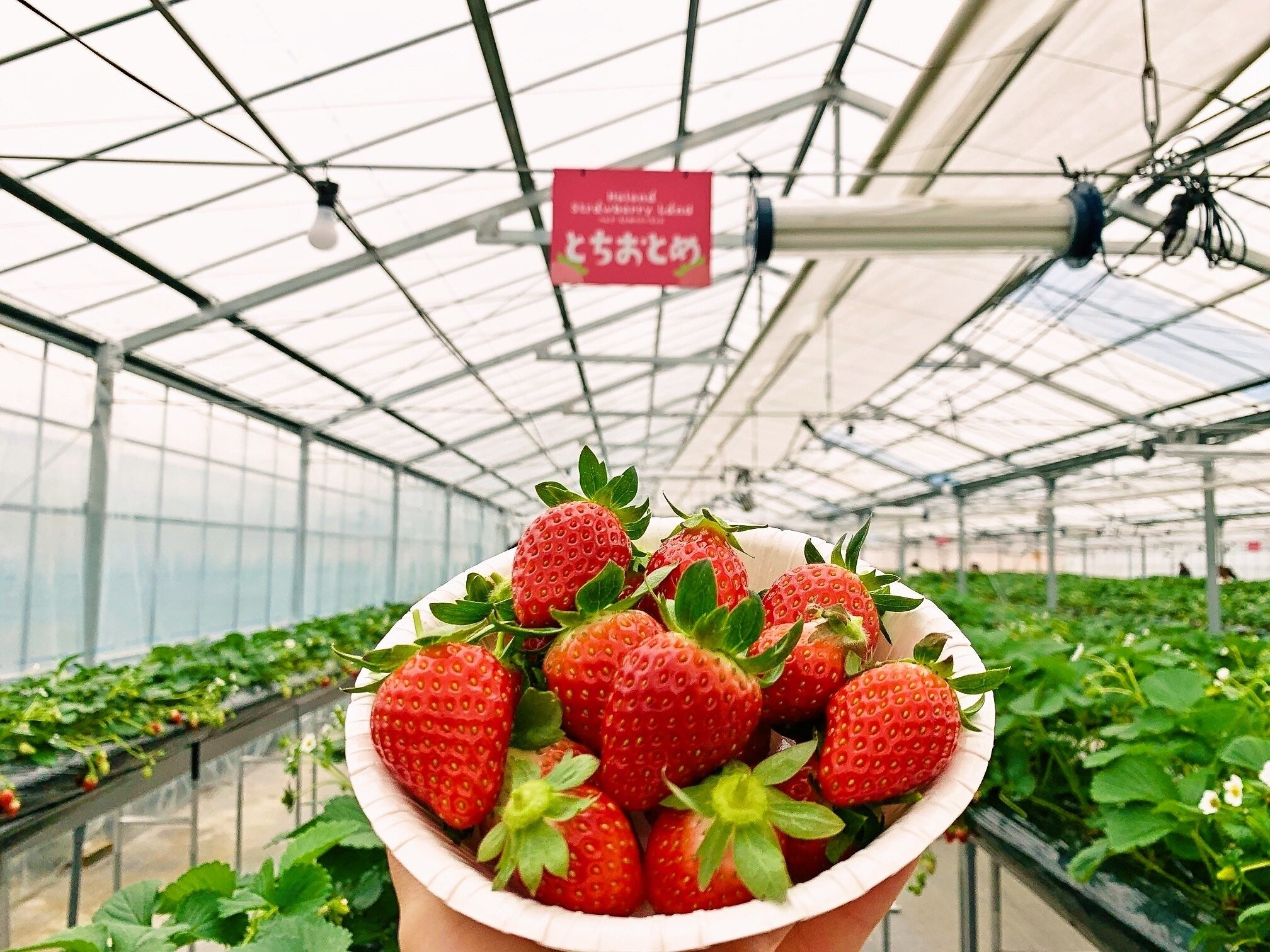 ©︎ヘレナリゾートいわき