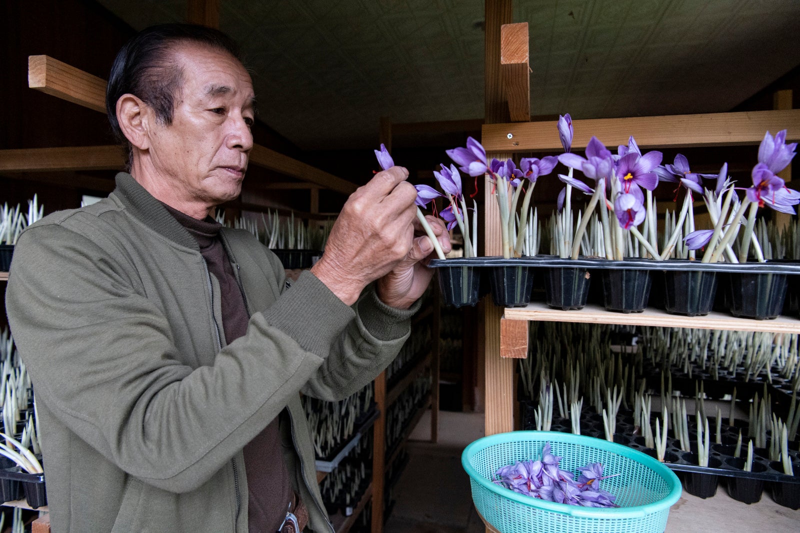 Akaito契約農家　西喜佐雄さん