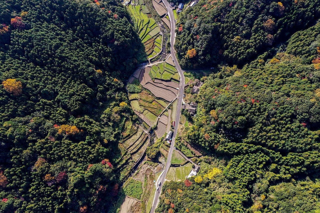 Akaitoサフラン®の生産地