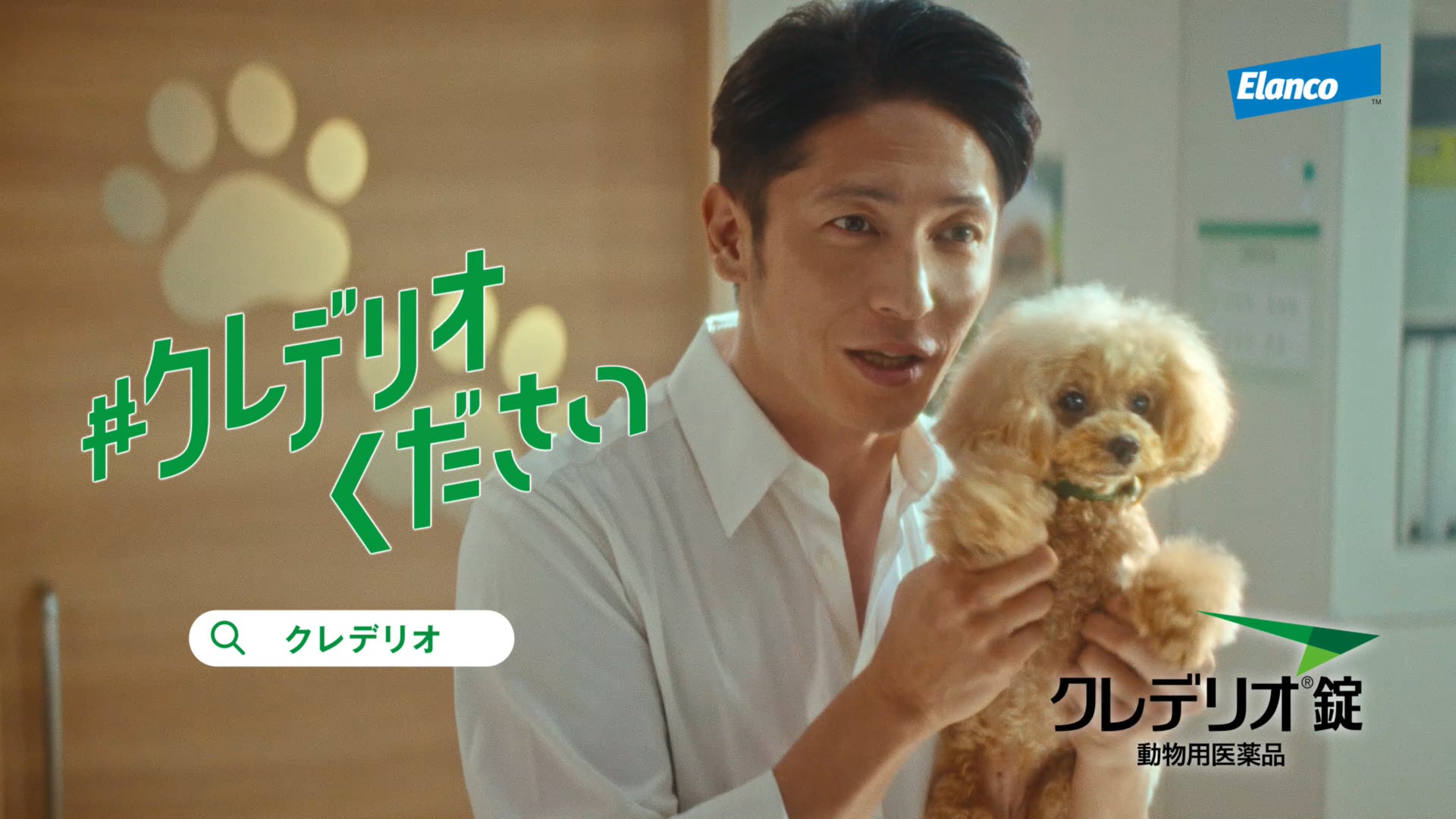 玉木宏さんがかわいいトイプードルと共演!TVCMを3月27日(月)より全国 玉木宏さんがかわいいトイプードルと共演!TVCMを3月27日(月)より全国