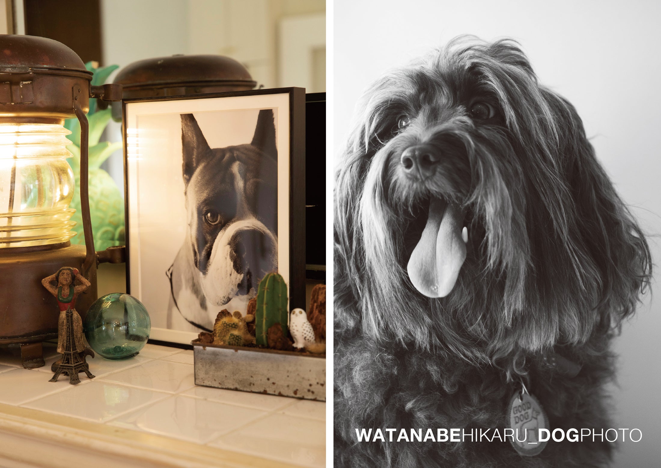 写真はモノクロで撮影し、額縁にお入れして後日ご自宅までお送りします。