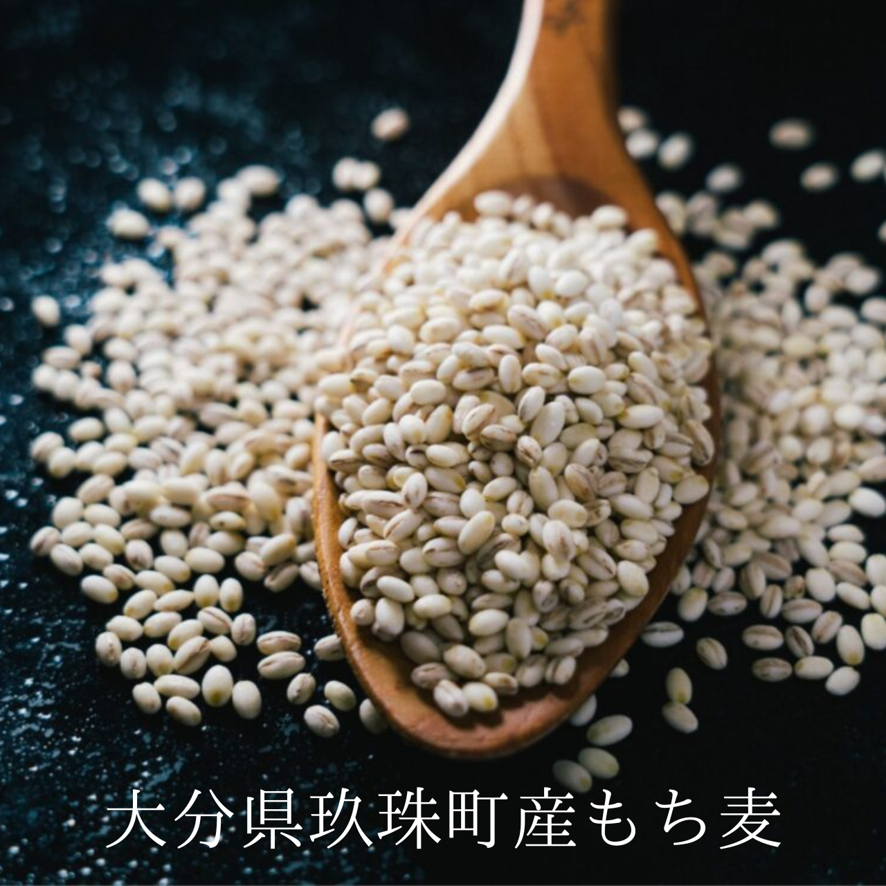 大分県玖珠町産もち麦