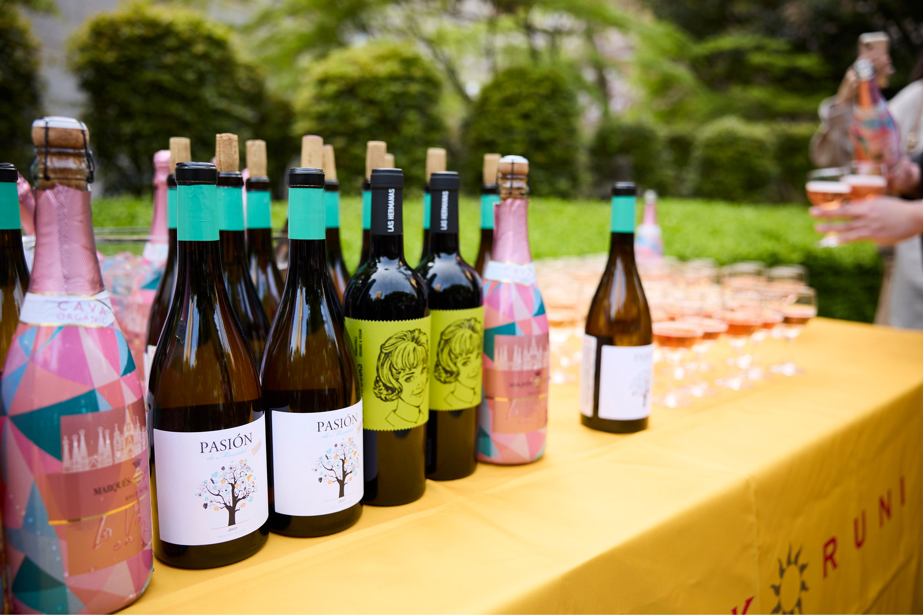 （提供スコルニ・ワイン）