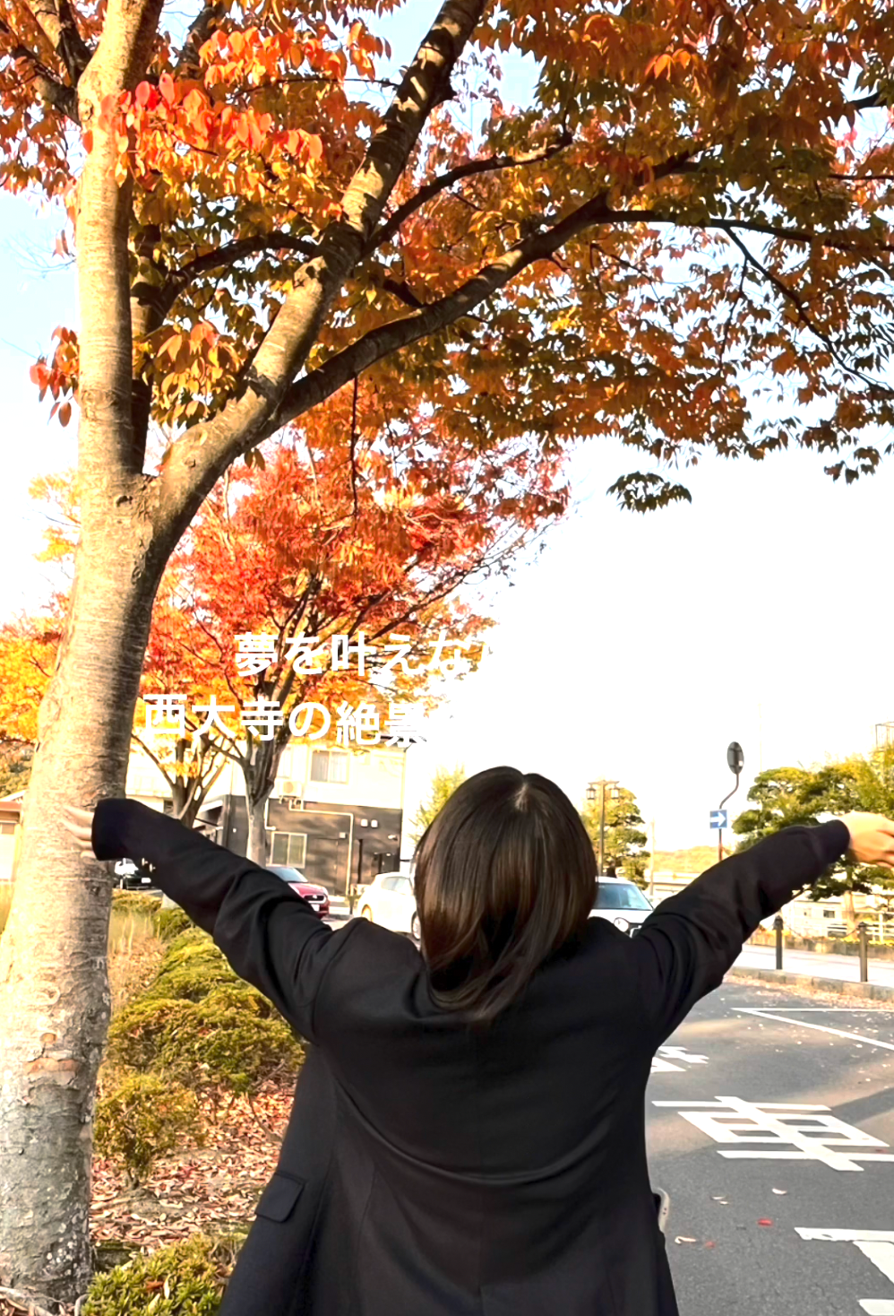 西大寺高校の動画