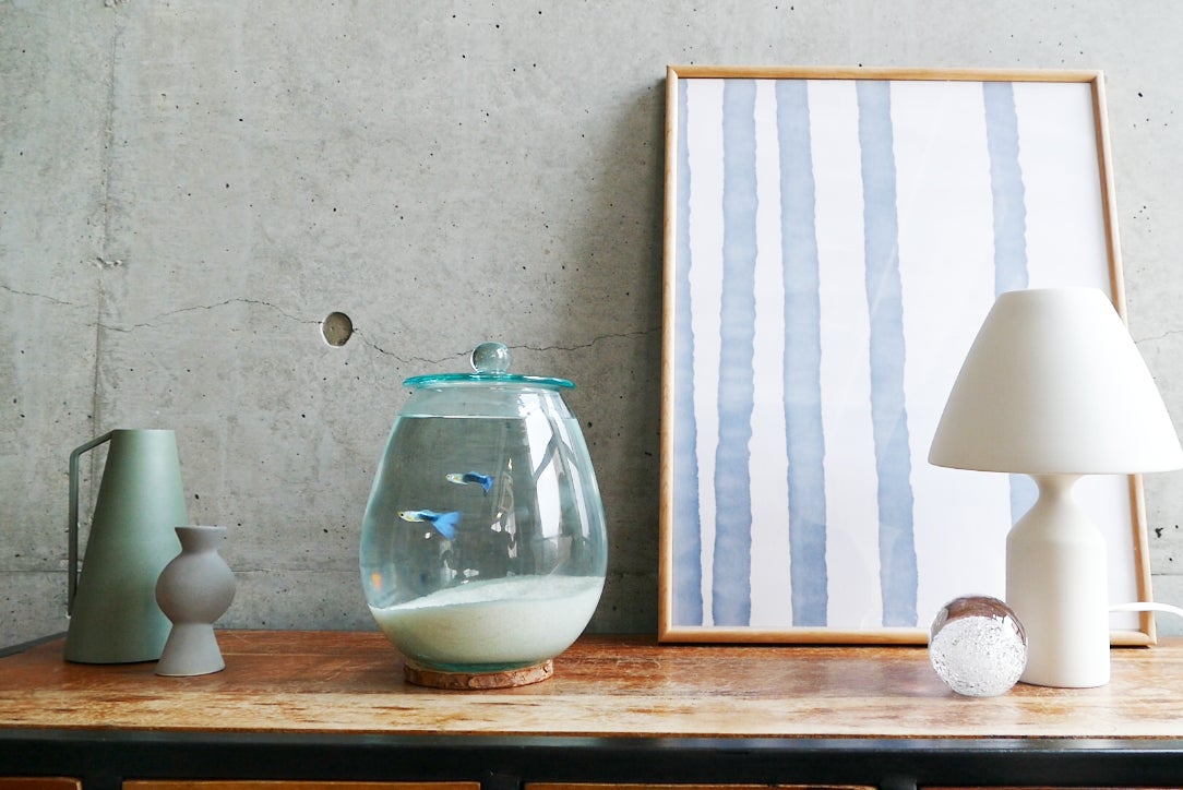 ジェックス株式会社、アクアリウム業界初となる、廃棄していたガラス ジェックス株式会社、アクアリウム業界初となる、廃棄していたガラス