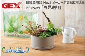 新発売のアクアリウム用 LED照明「GEX aquarista クリアLED RADIUS」が 新発売のアクアリウム用 LED照明「GEX aquarista クリアLED RADIUS」が