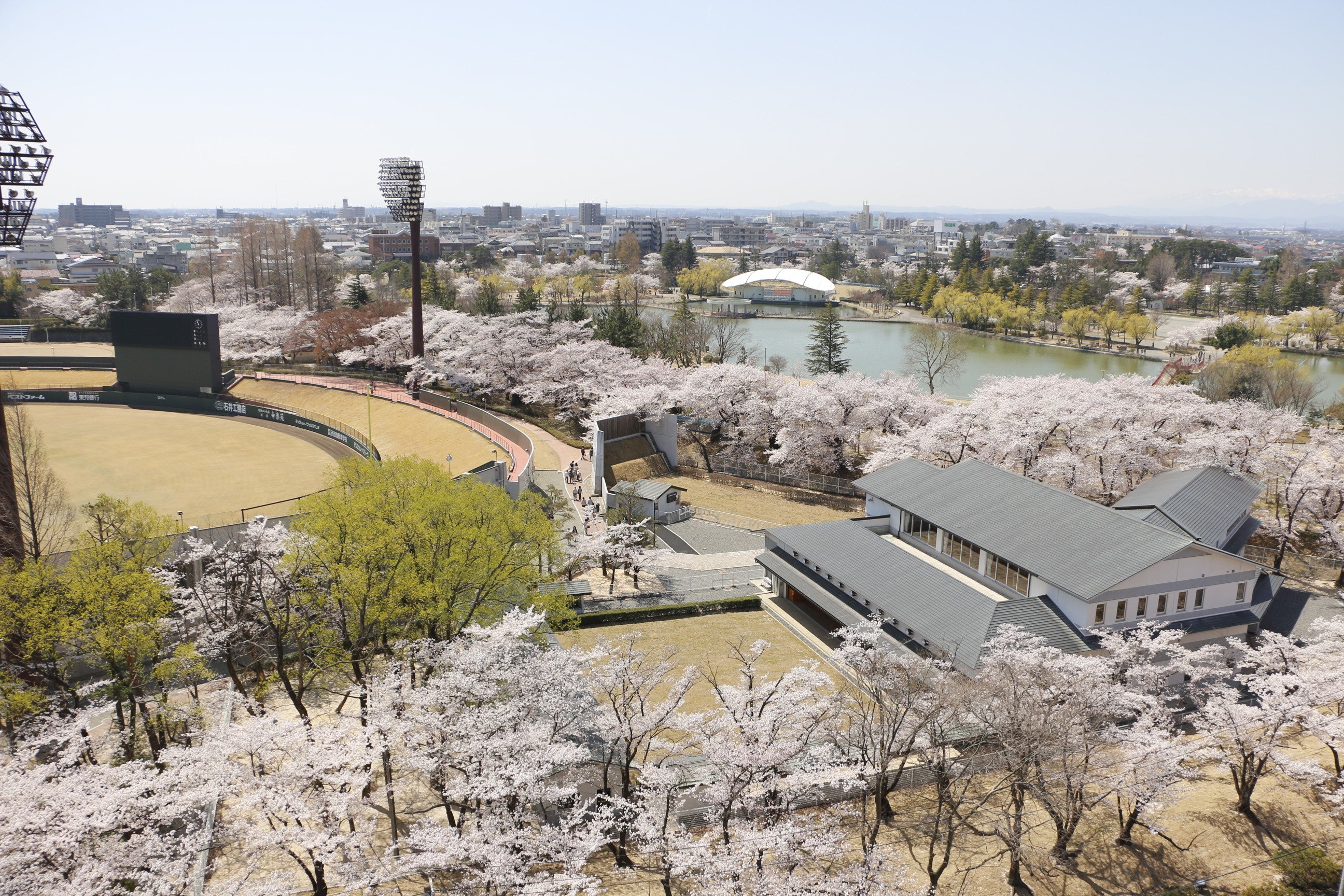 開成山公園（郡山市開成）