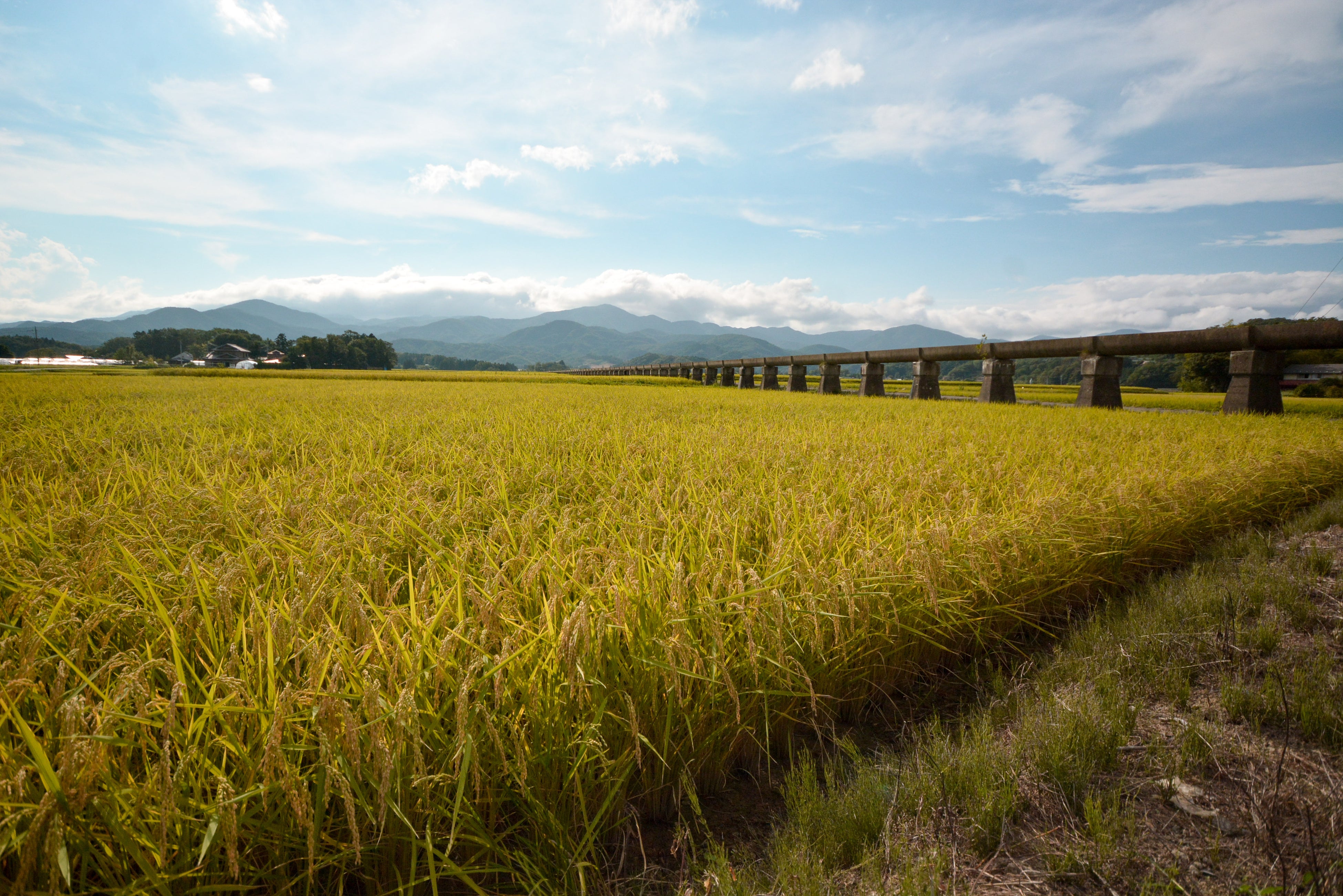 安積疏水の恵みを受けて広がる田園地帯