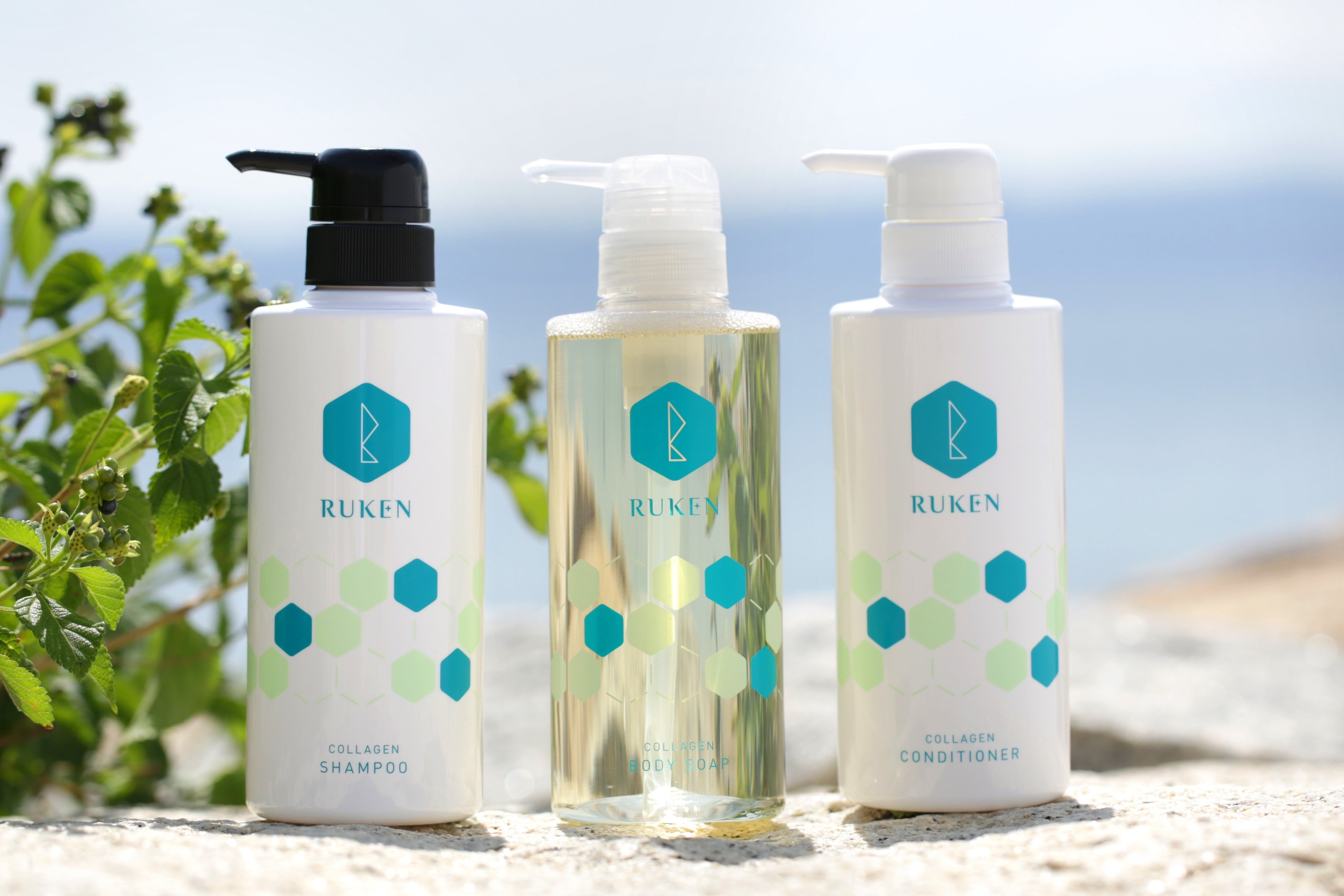 ルウ研究所様（鳥取県米子市）ブランドデザイン