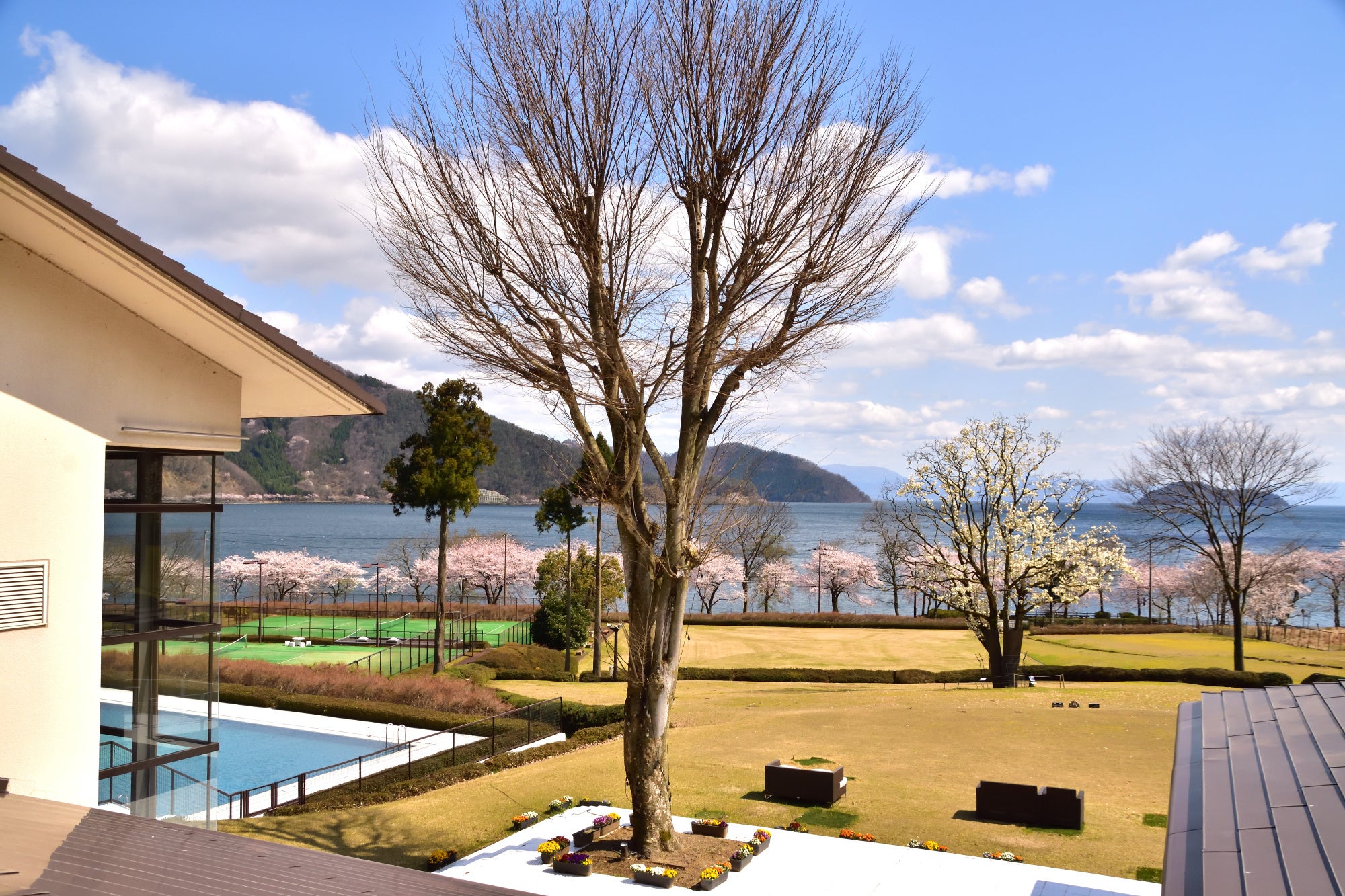 4月初旬ホテルから見る琵琶湖と海津大崎の桜