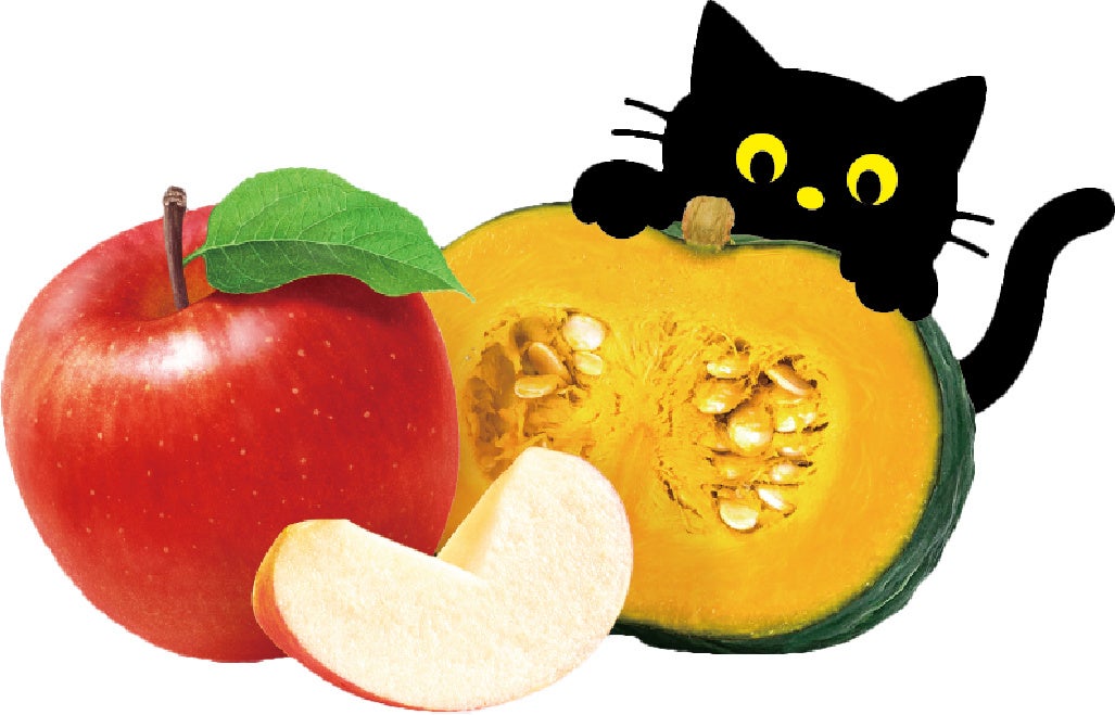 ★こぼちゃん★ かぼちゃん on X