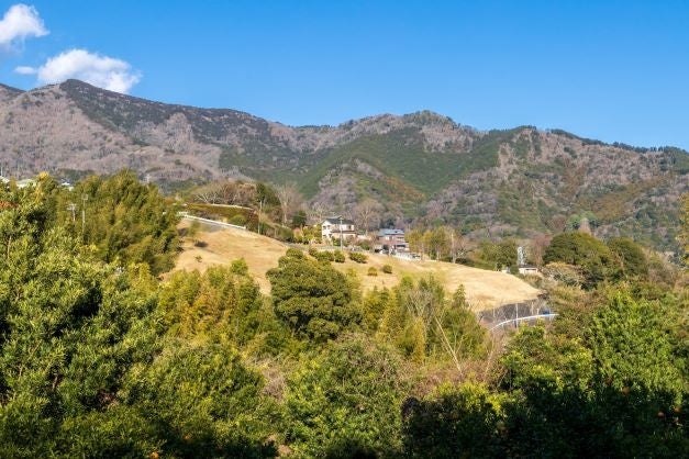 湯河原万葉公園・城山方面を臨む