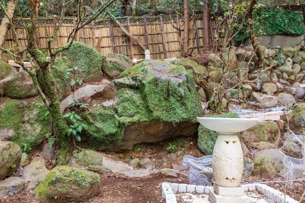 庭園はバリ島ウブドの森テイスト