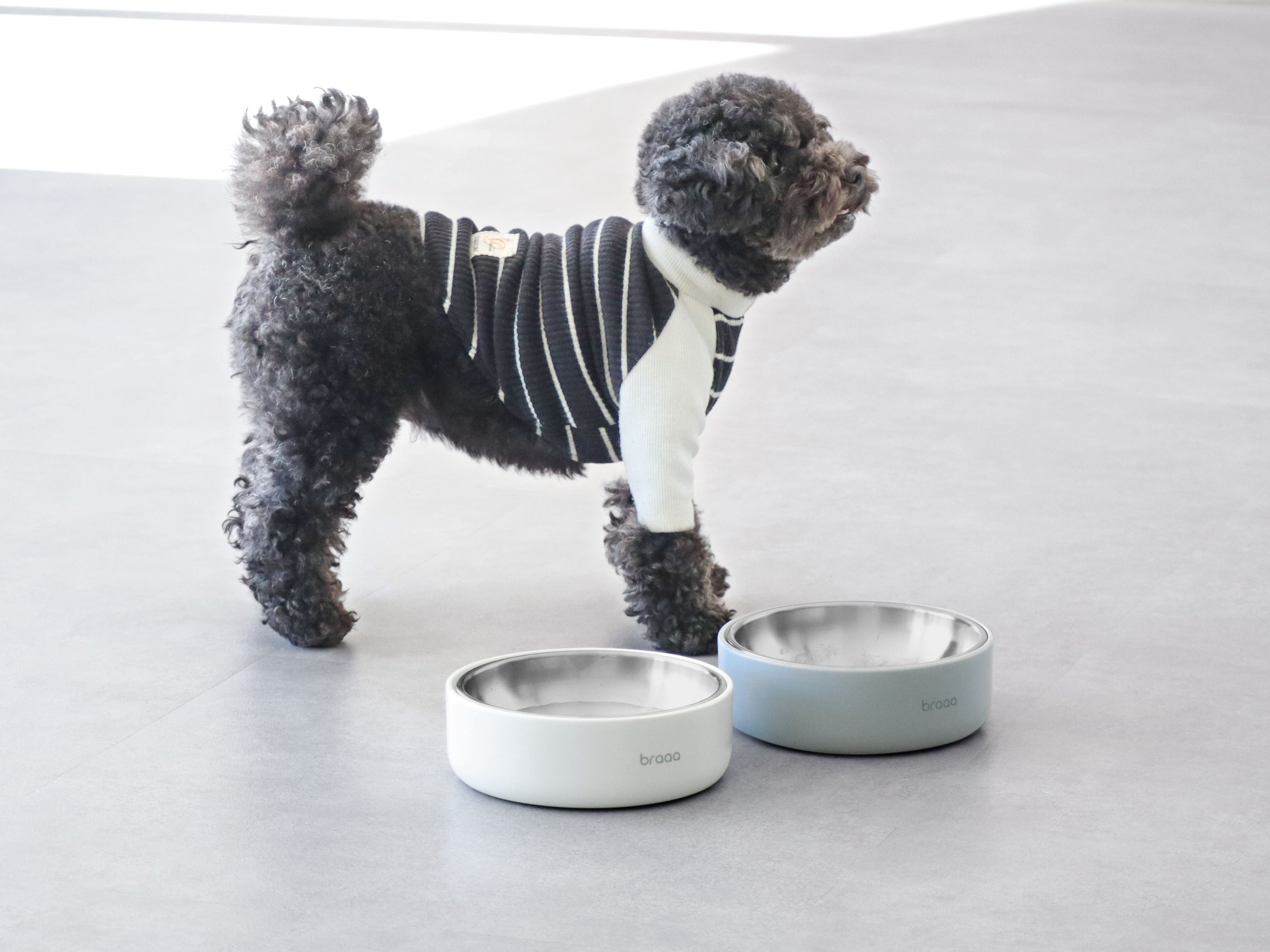 波佐見＆燕三条、日本の技術の粋を集めたペットボウル＆スタンド