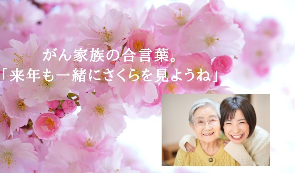 一社）Mon amiと地域の人が「がん家族」にお花見写真撮影会をプレゼント
