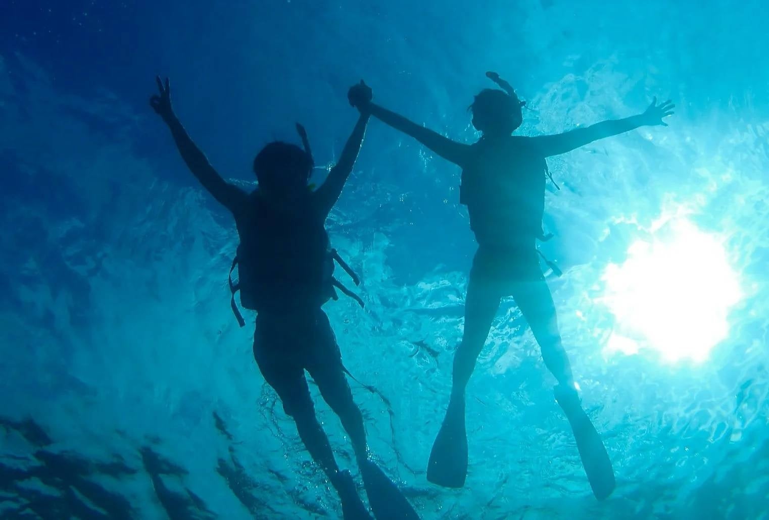 提携オプショナルツアーBOP MARINE のツアー例